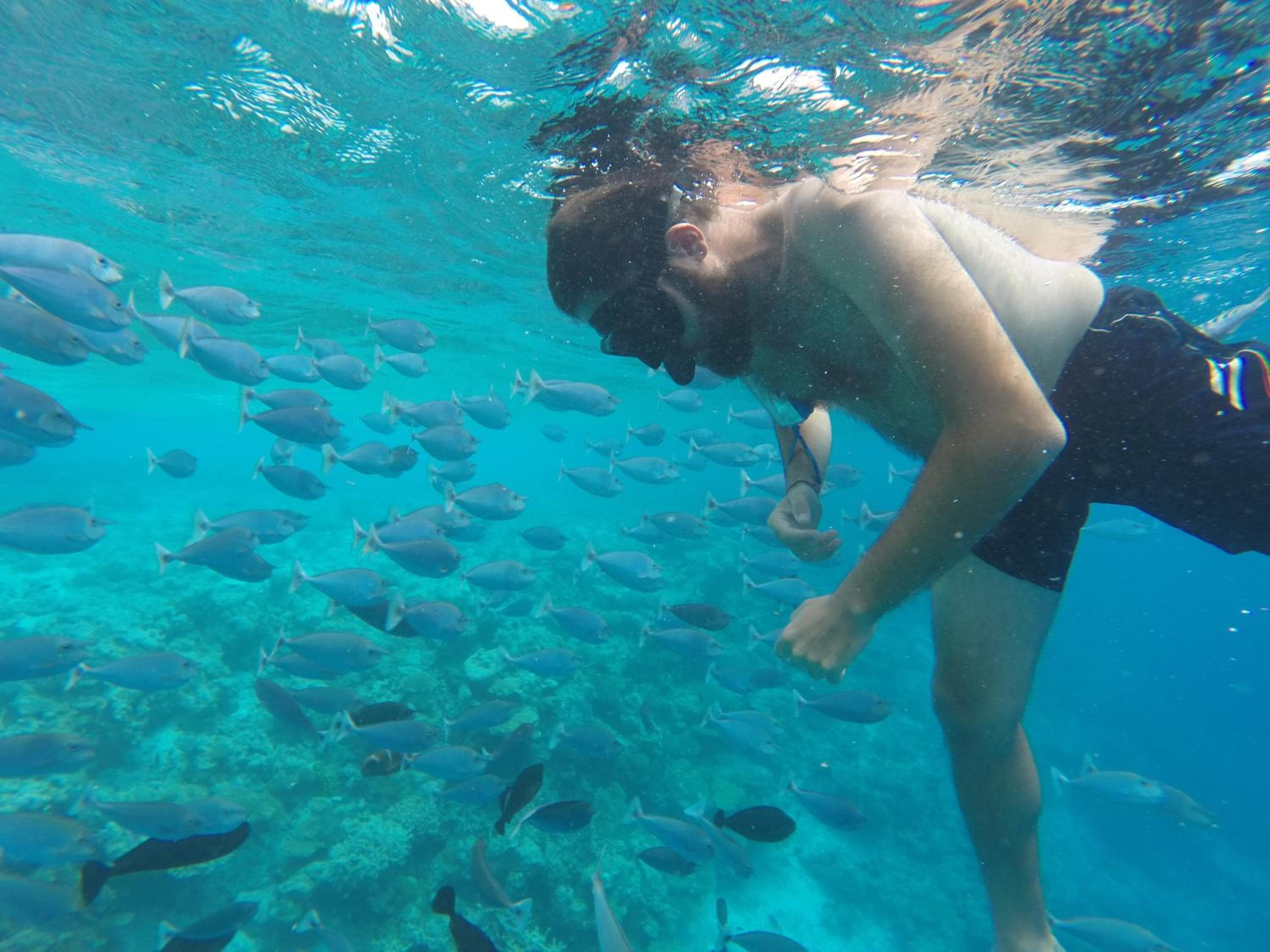 Salt Beach Hotel - View 80