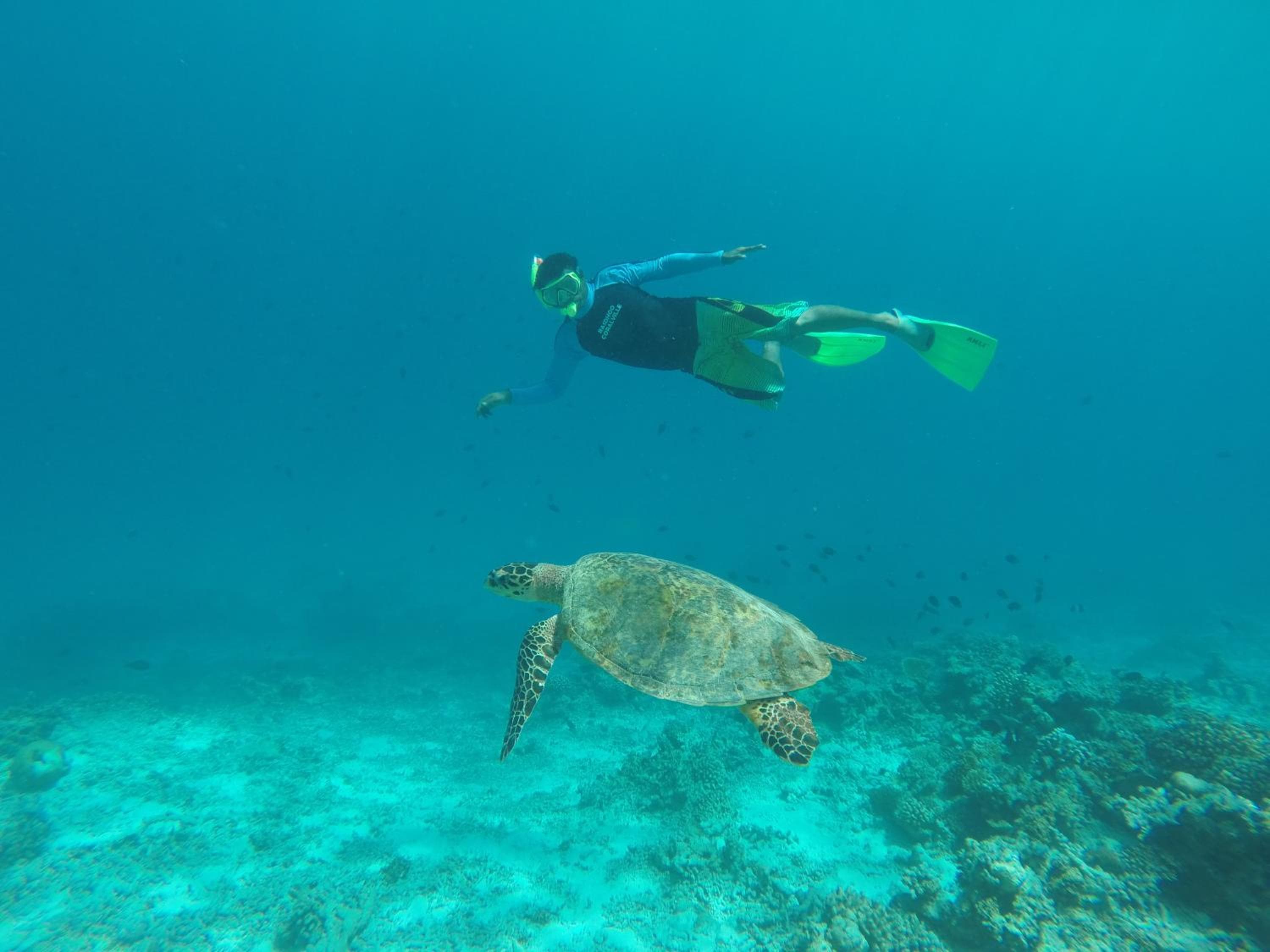 Rasdhoo Coralville - View 55