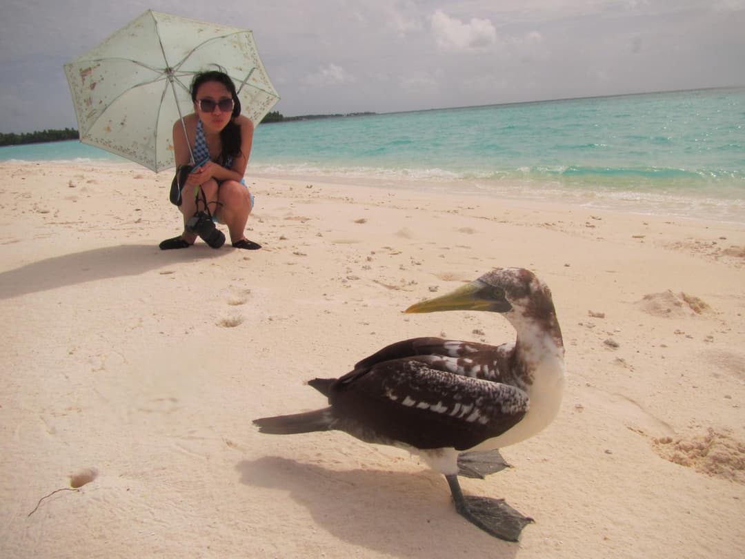 Rasdhoo Coralville - View 78