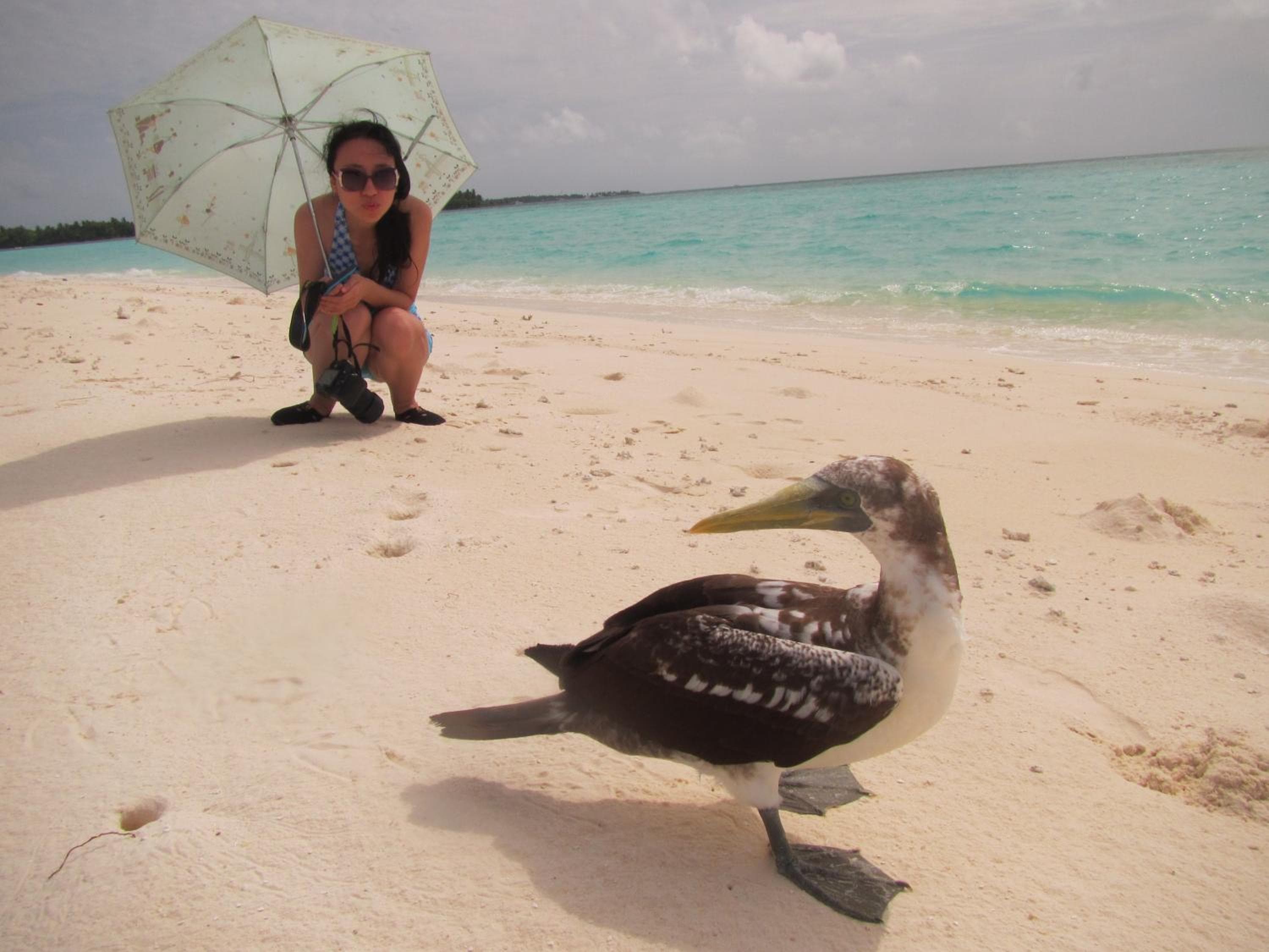 Rasdhoo Coralville - View 125