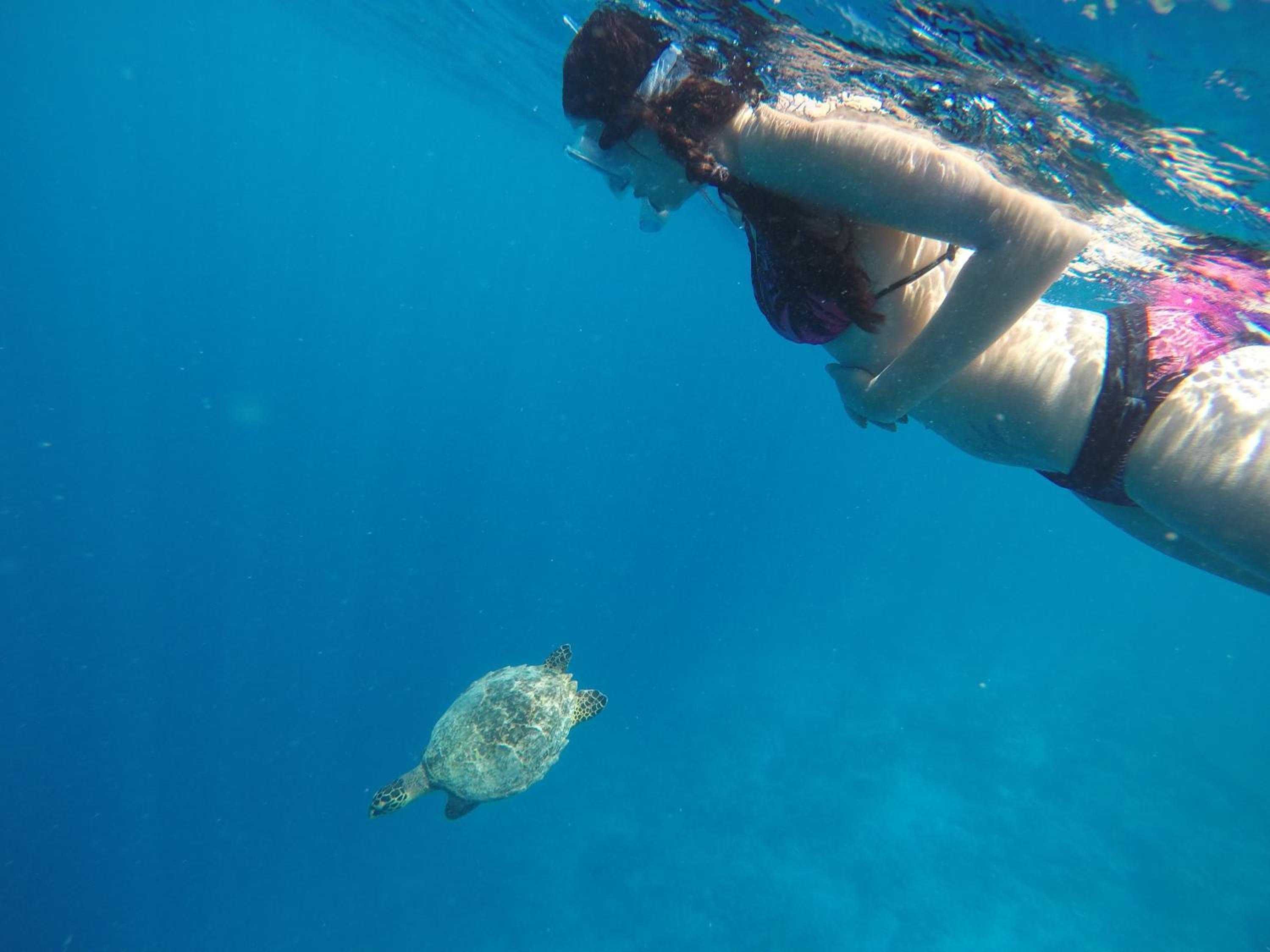 Rasdhoo Coralville - View 49