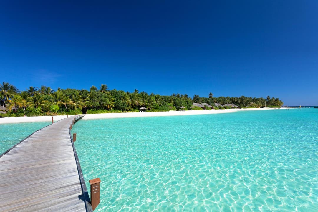 Veligandu Maldives Resort Island - View 57