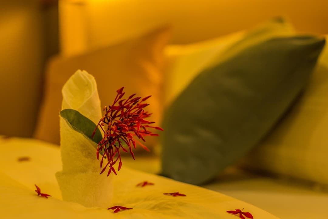 Kuredhi Beach Inn - View 25