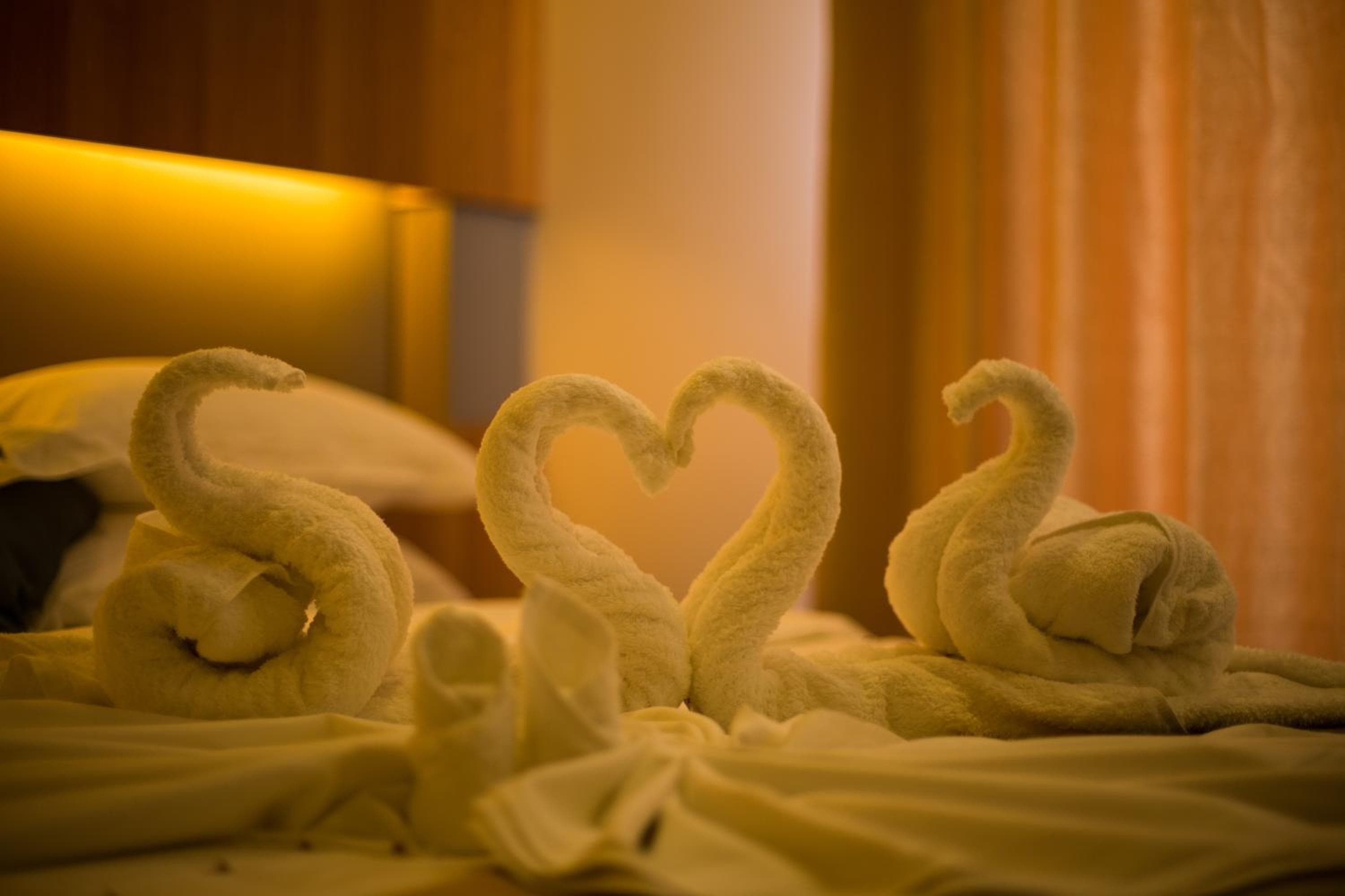 Kuredhi Beach Inn - View 26