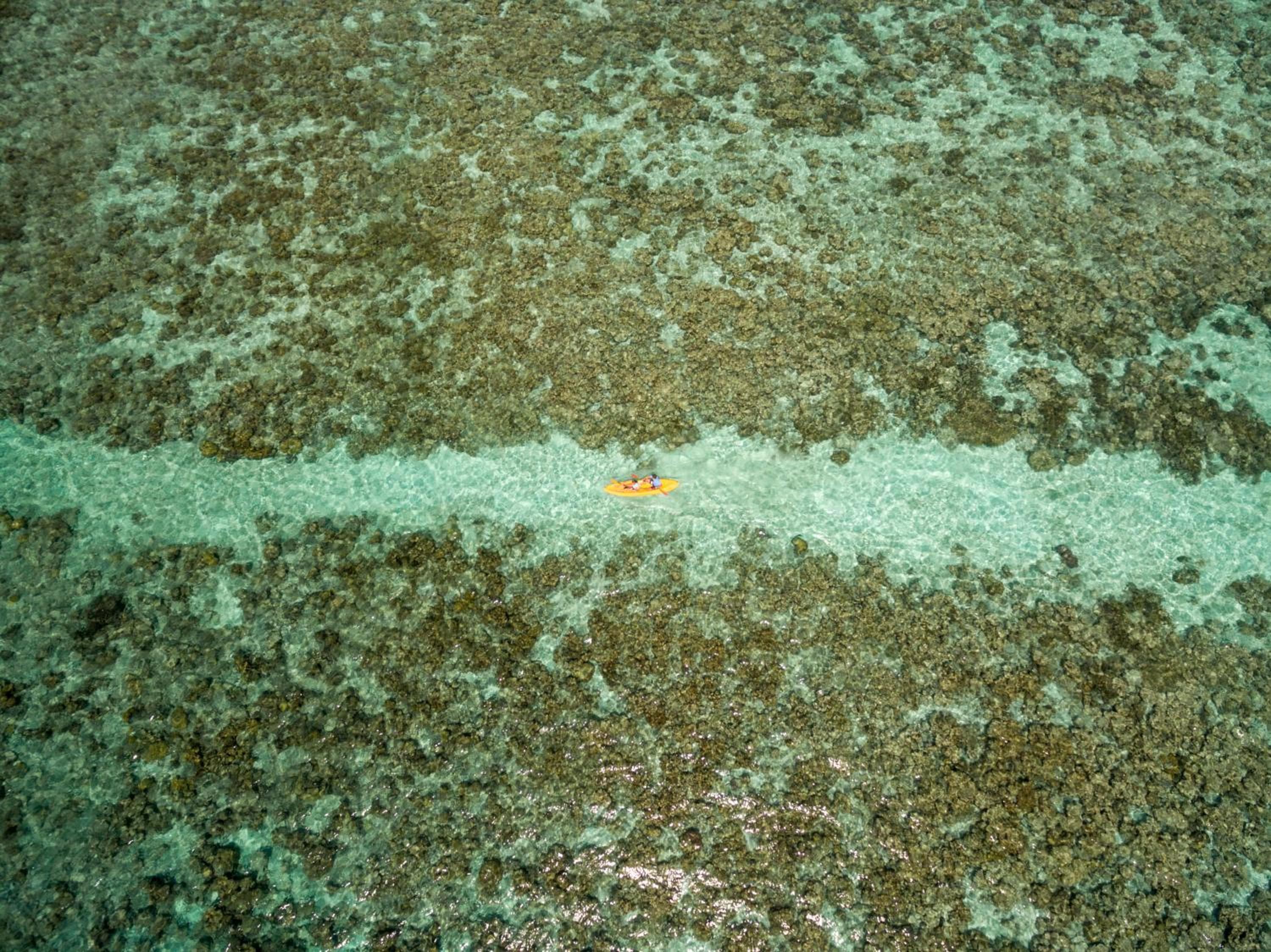 Plumeria Maldives - View 64