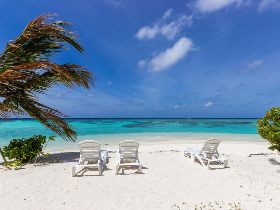 Plumeria Maldives - View 32