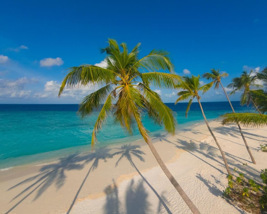 Milaidhoo Maldives - View 33