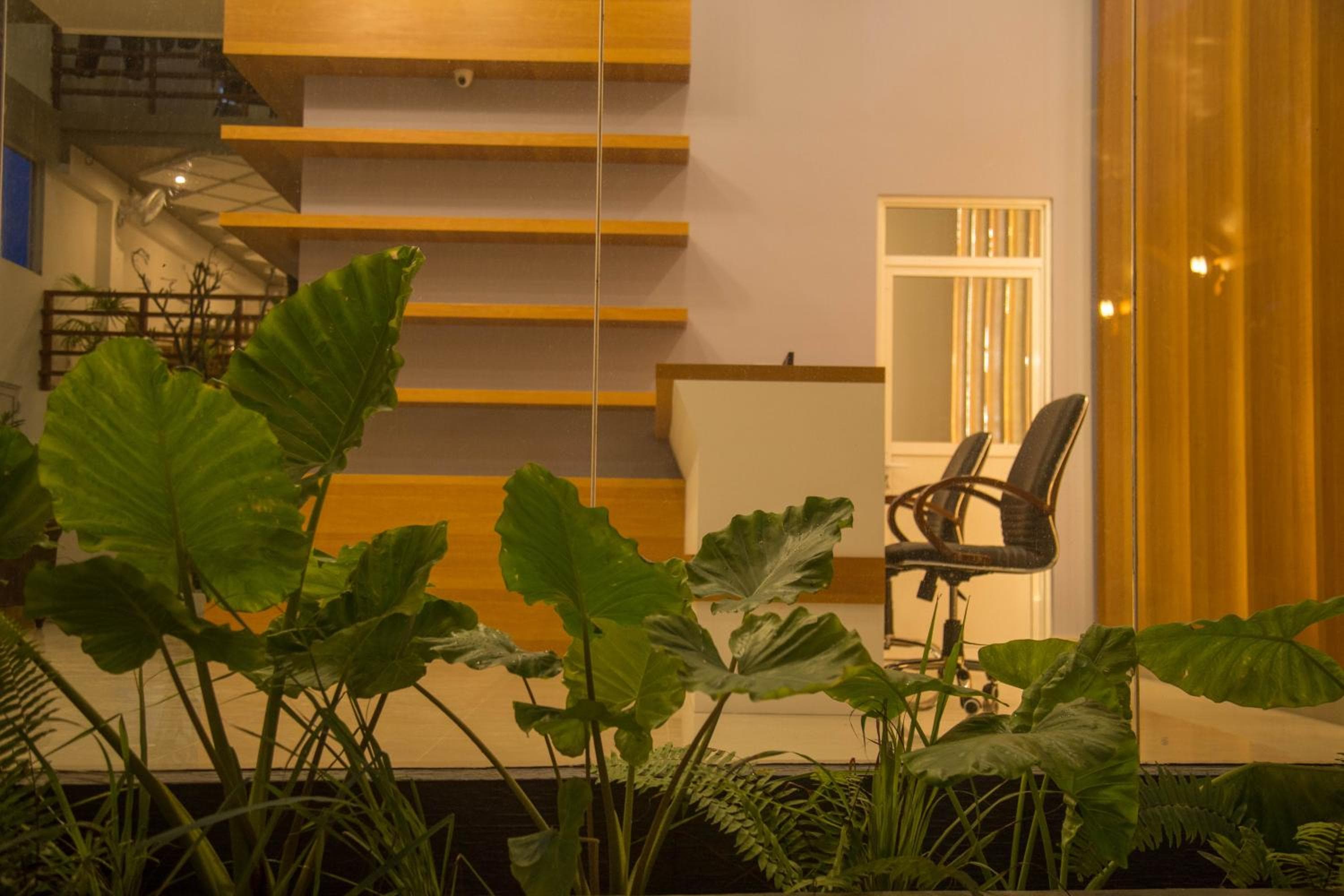 Kuredhi Beach Inn - View 44