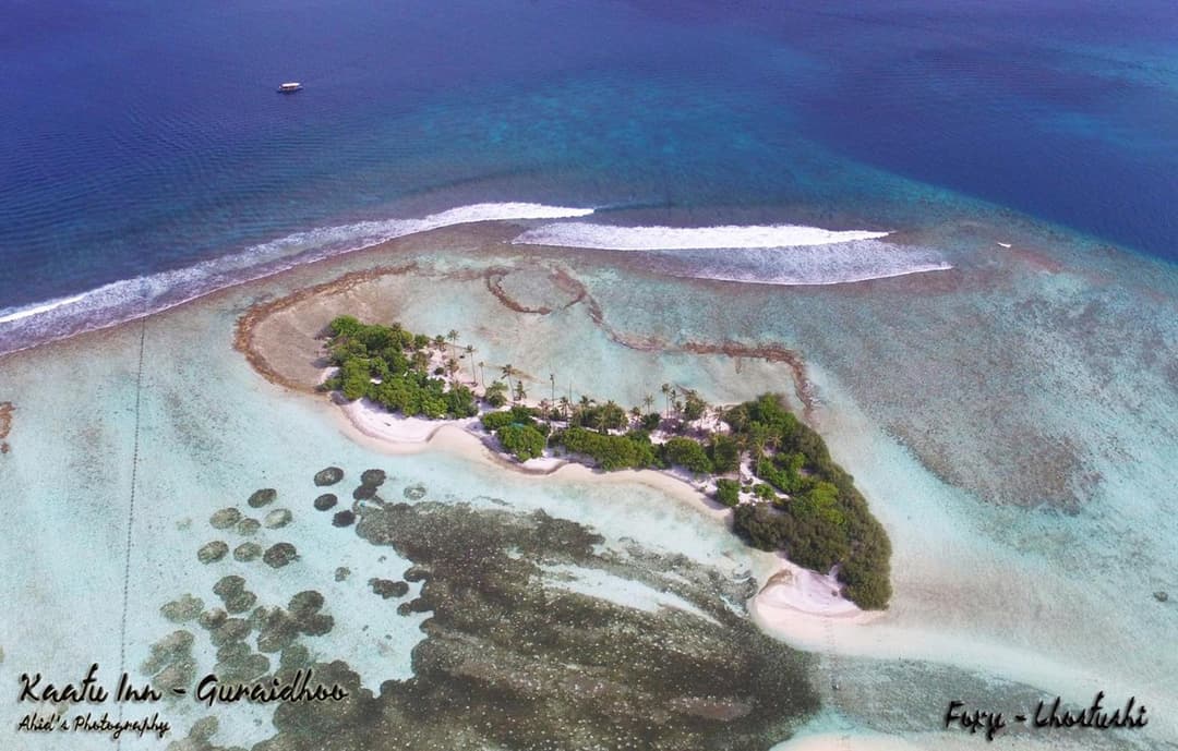Kaafu Inn Guraidhoo - View 52