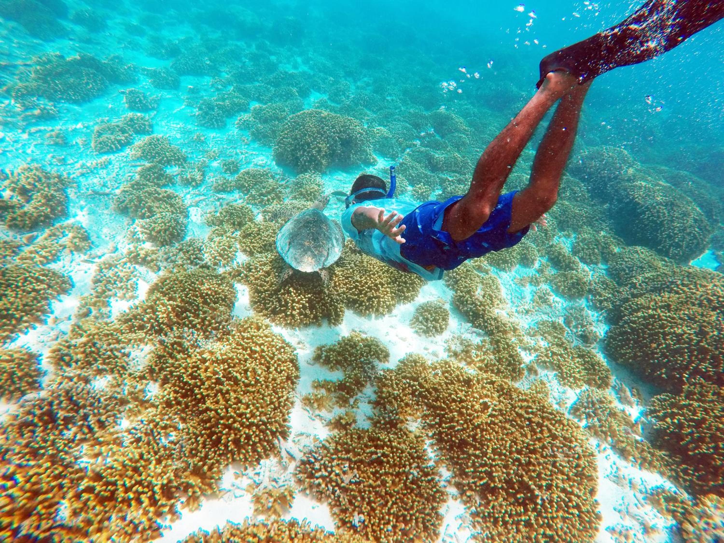 Holiday Cottage Thoddoo, Maldives - View 29