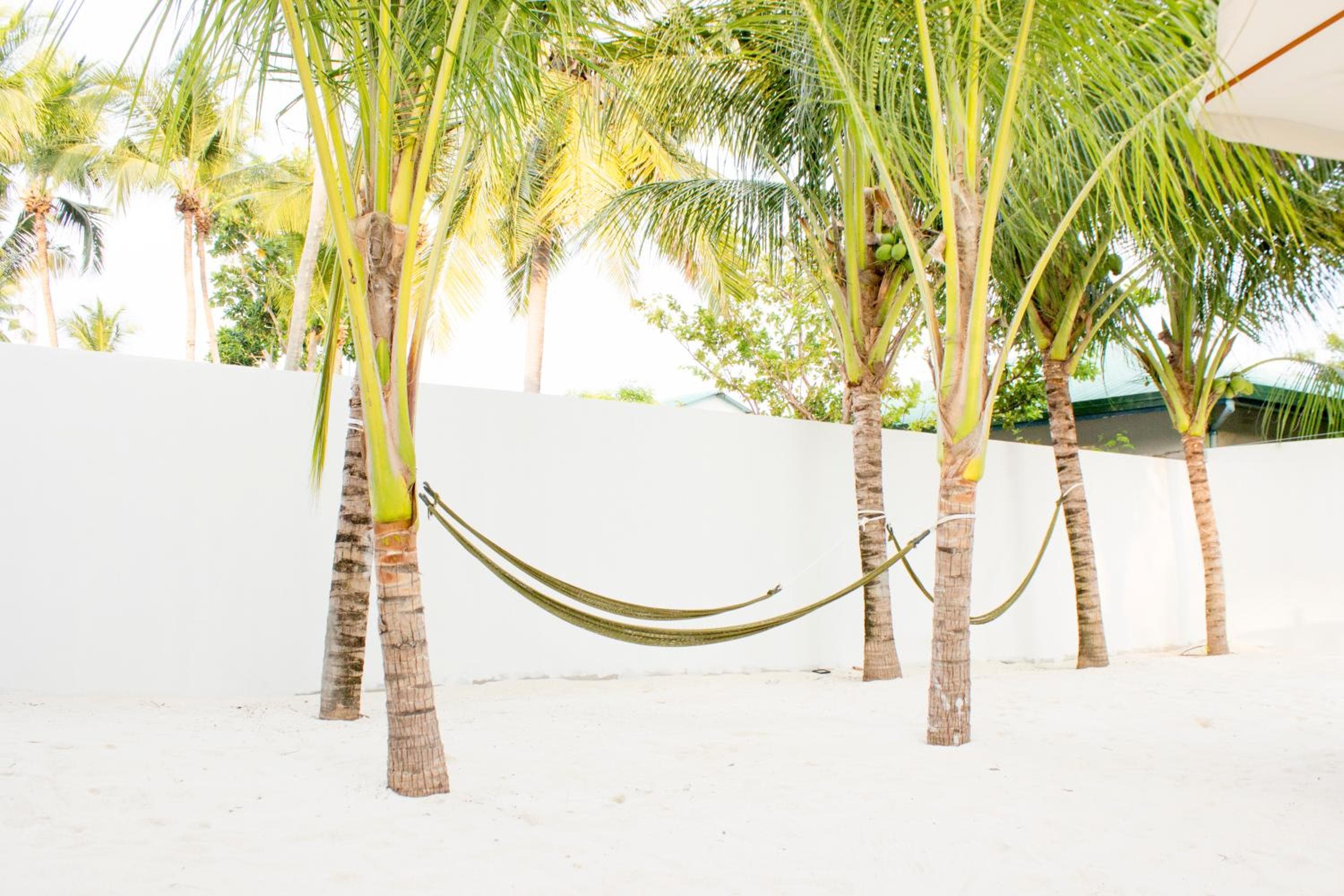 Holiday Cottage Thoddoo, Maldives - View 64