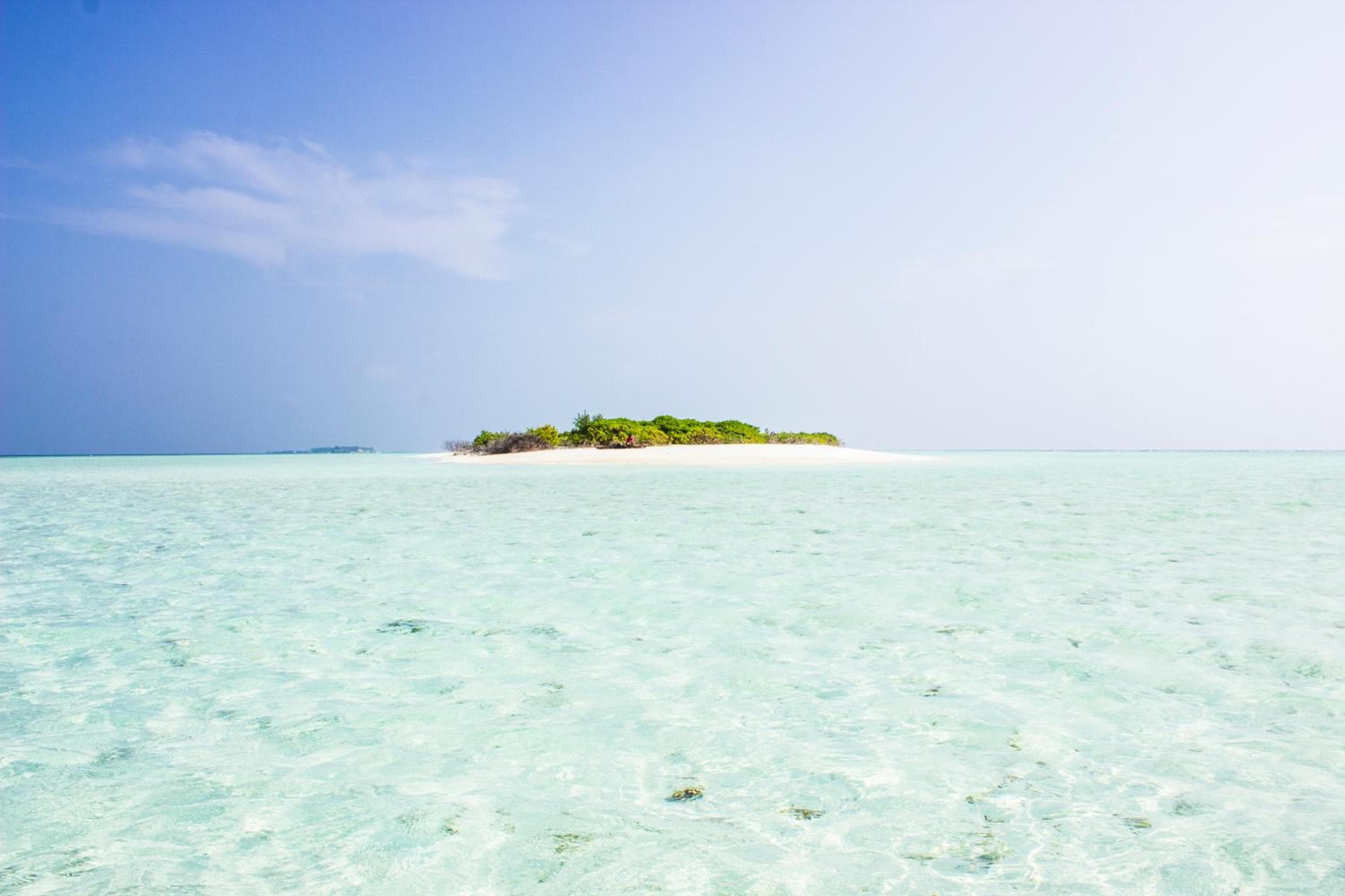 Holiday Cottage Thoddoo, Maldives - View 20