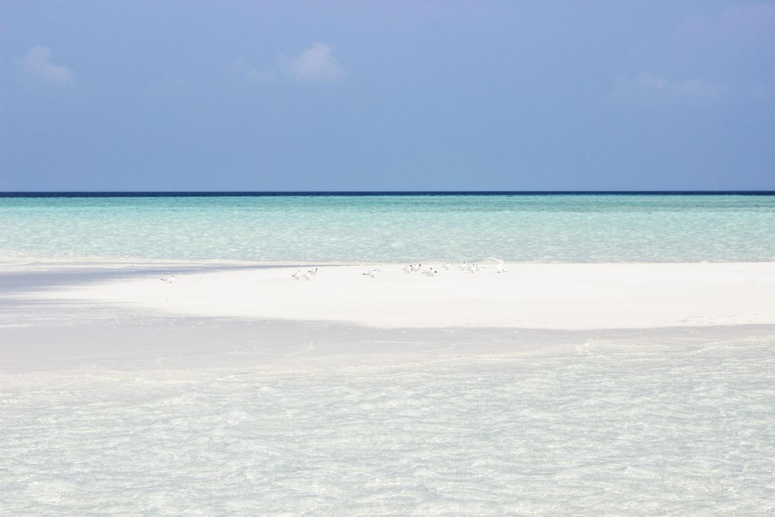 Holiday Cottage Thoddoo, Maldives - View 41