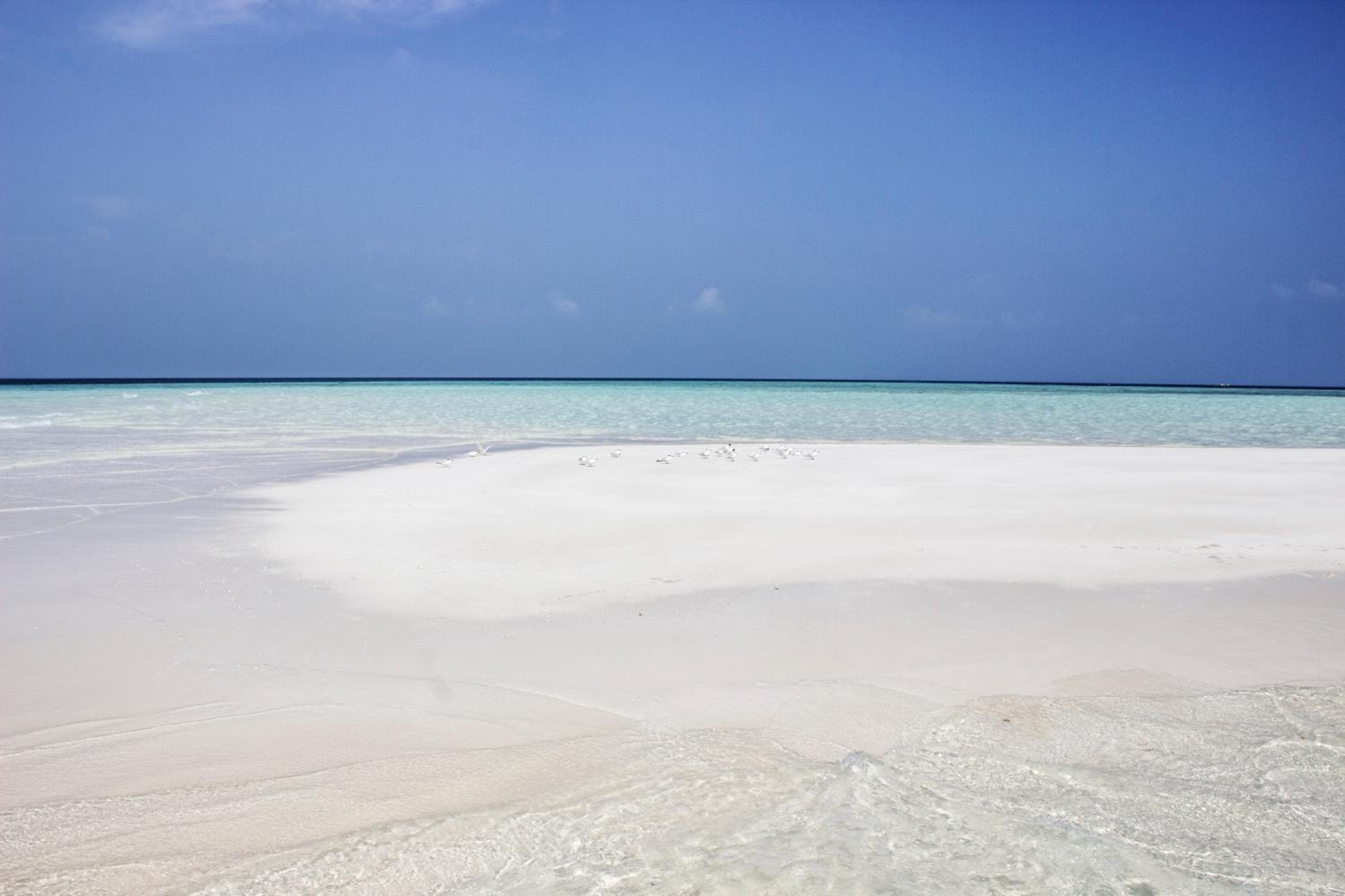 Holiday Cottage Thoddoo, Maldives - View 10