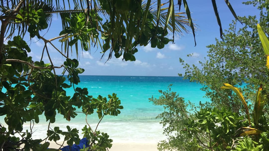 Athiri Beach Maldives - View 73