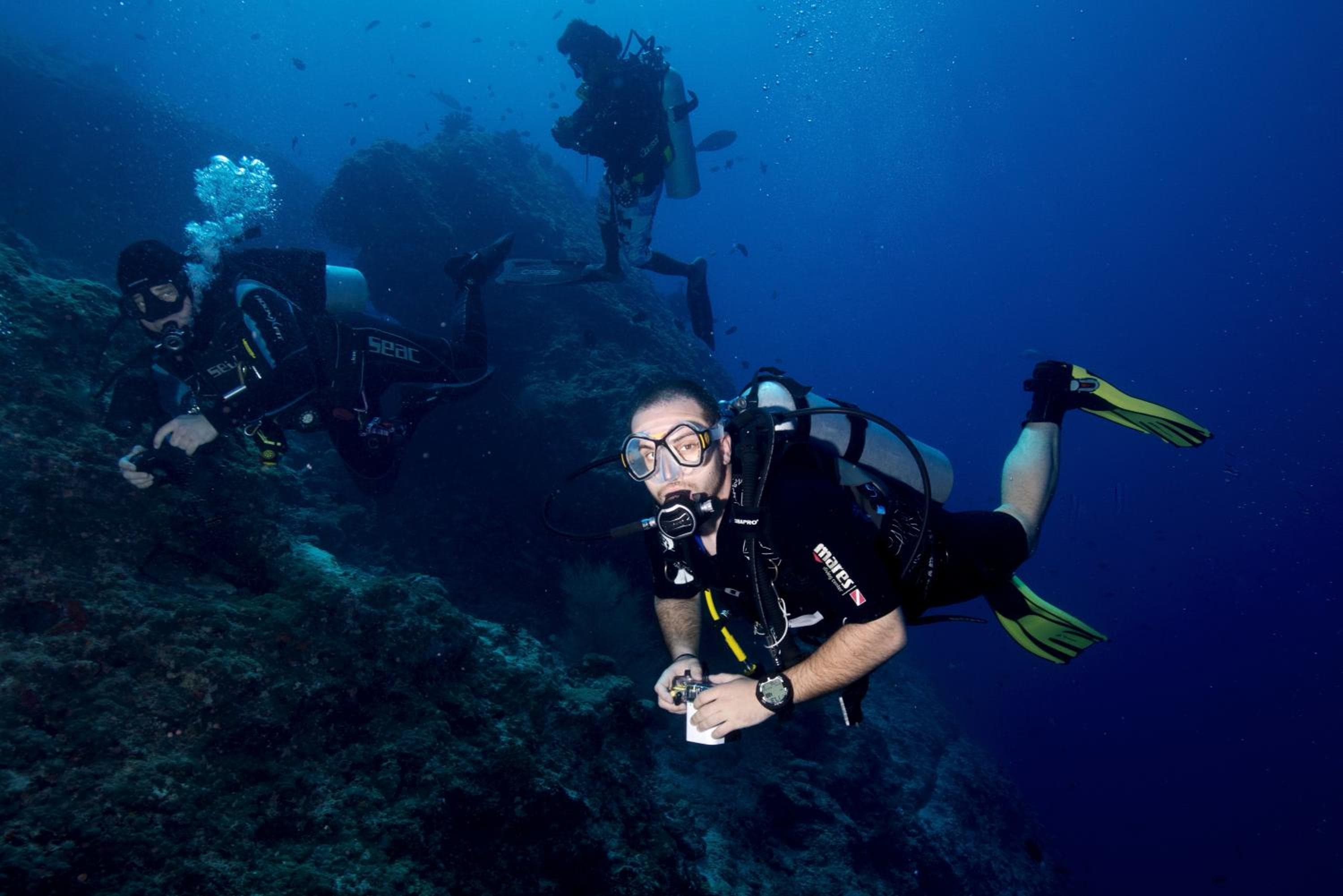 Season Paradise - View 68