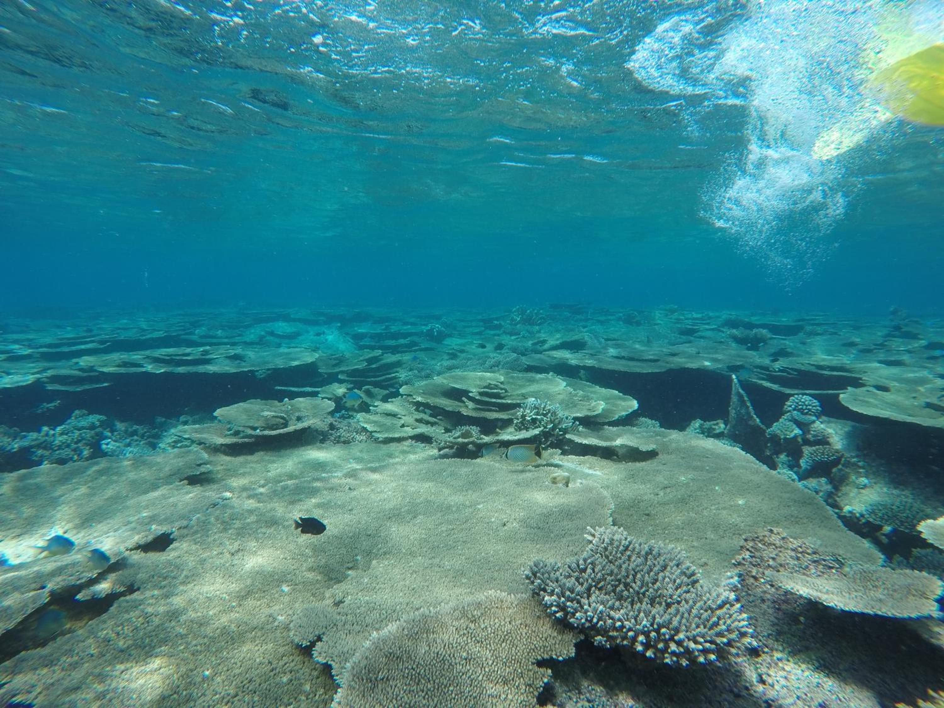 Holiday Haven Ukulhas - View 78