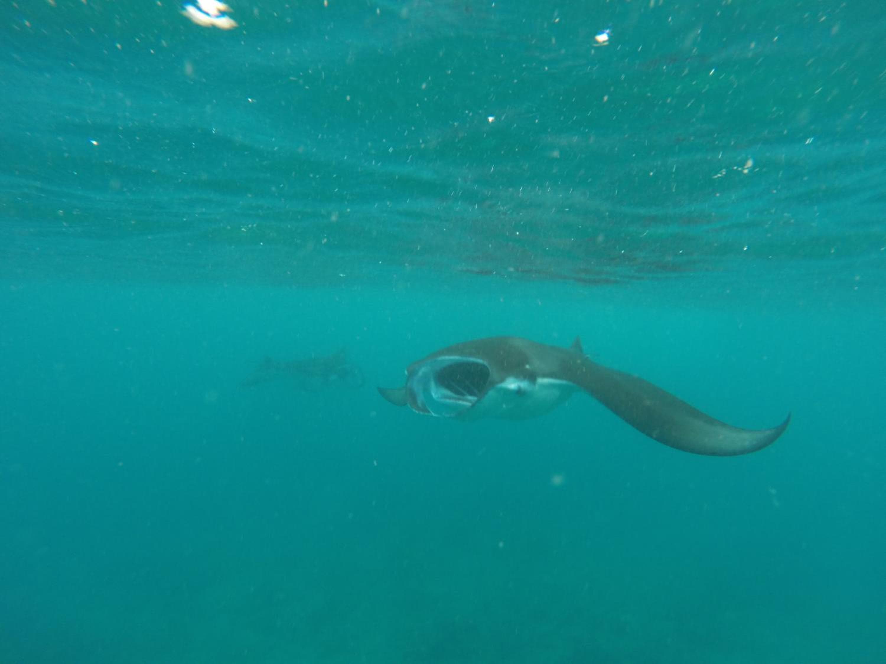 Holiday Haven Ukulhas - View 62