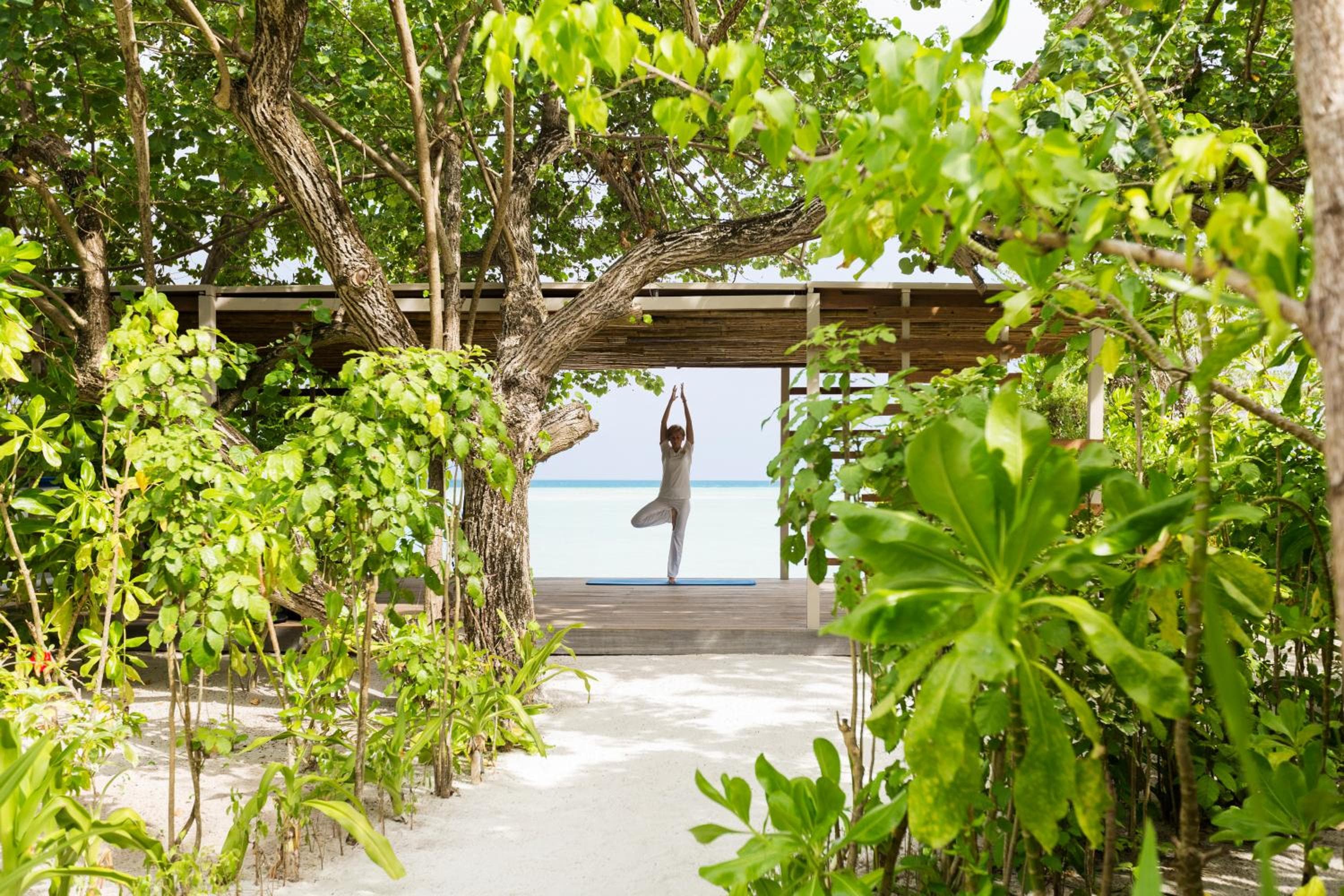 LUX* South Ari Atoll Resort & Villas - View 93