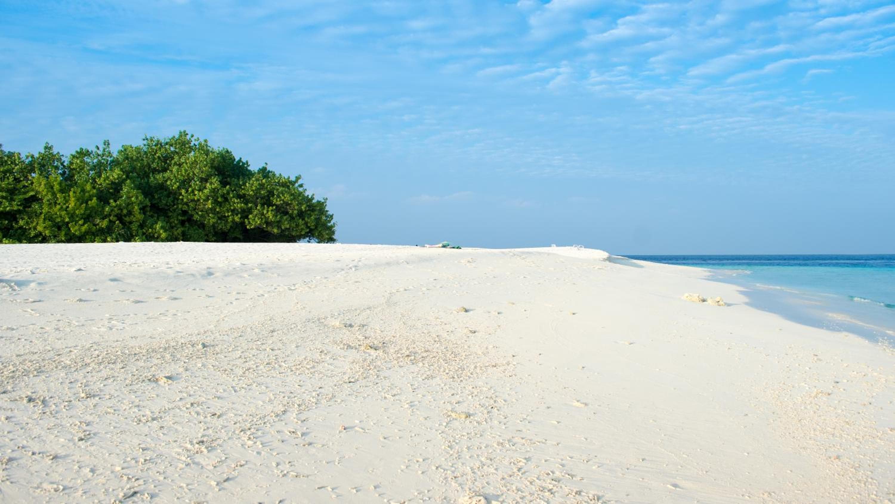 West Sands - View 112