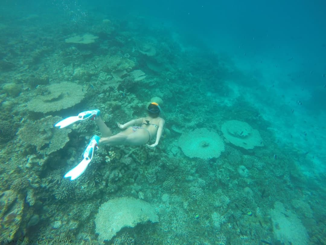 Rasdhoo Coralville - View 53