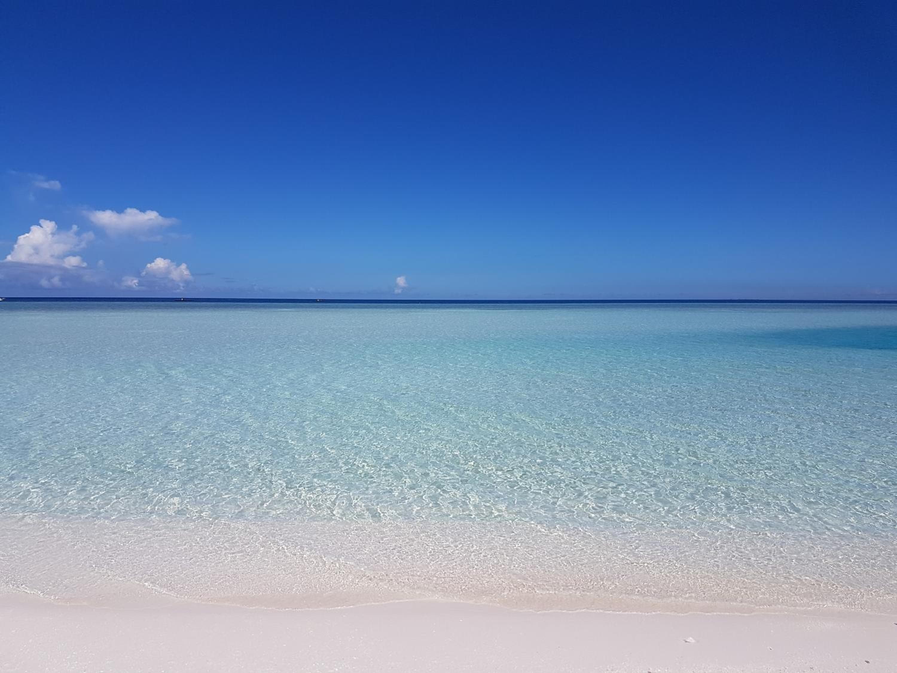 Palm Garden - View 25