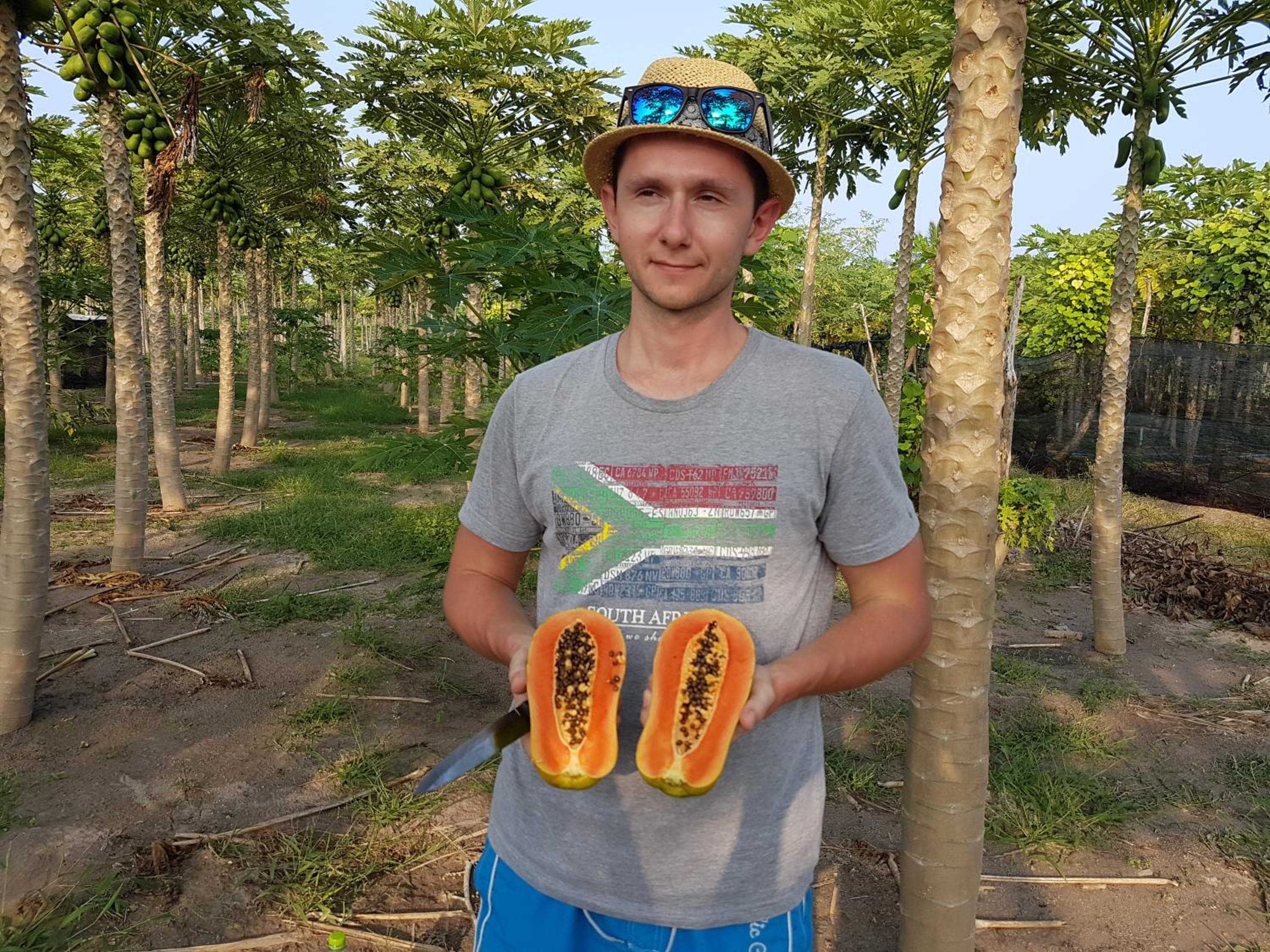 Palm Garden - View 29