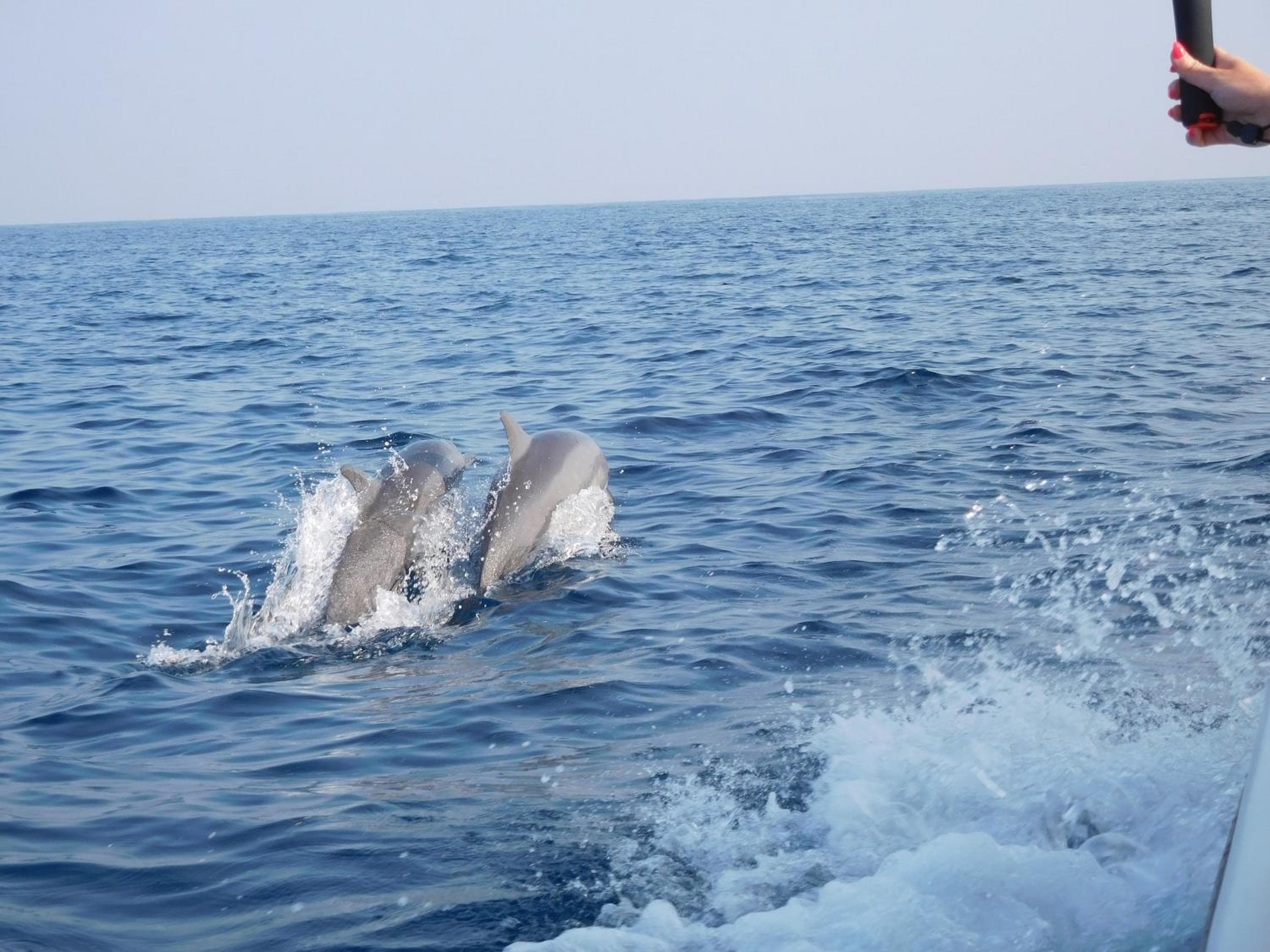 Holiday Haven Ukulhas - View 91