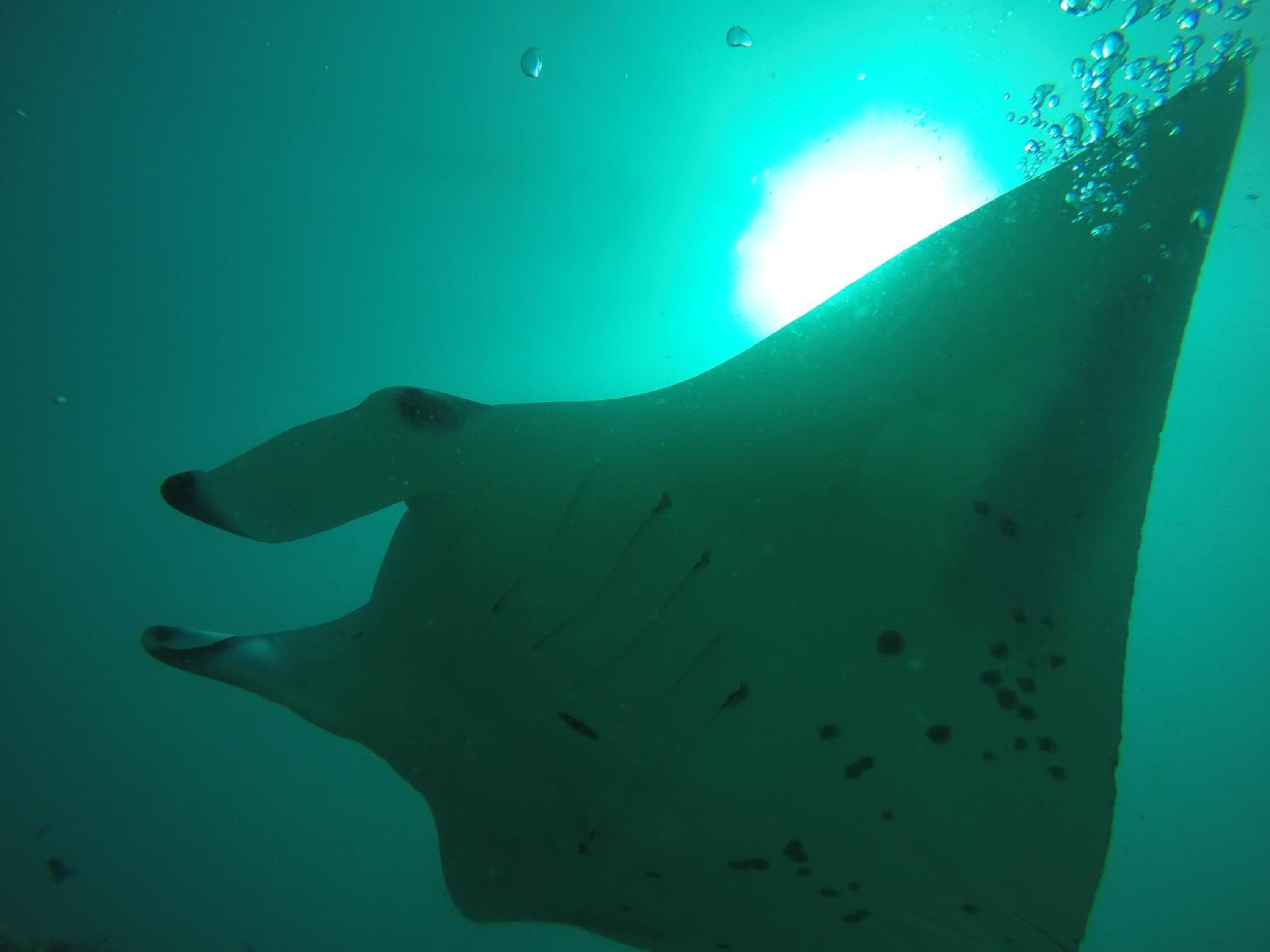 Rasdhoo Coralville - View 21