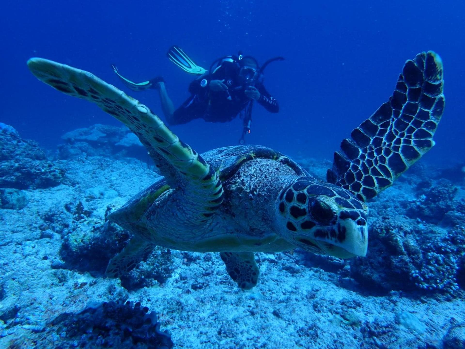 The Sunrise Huraa - View 83