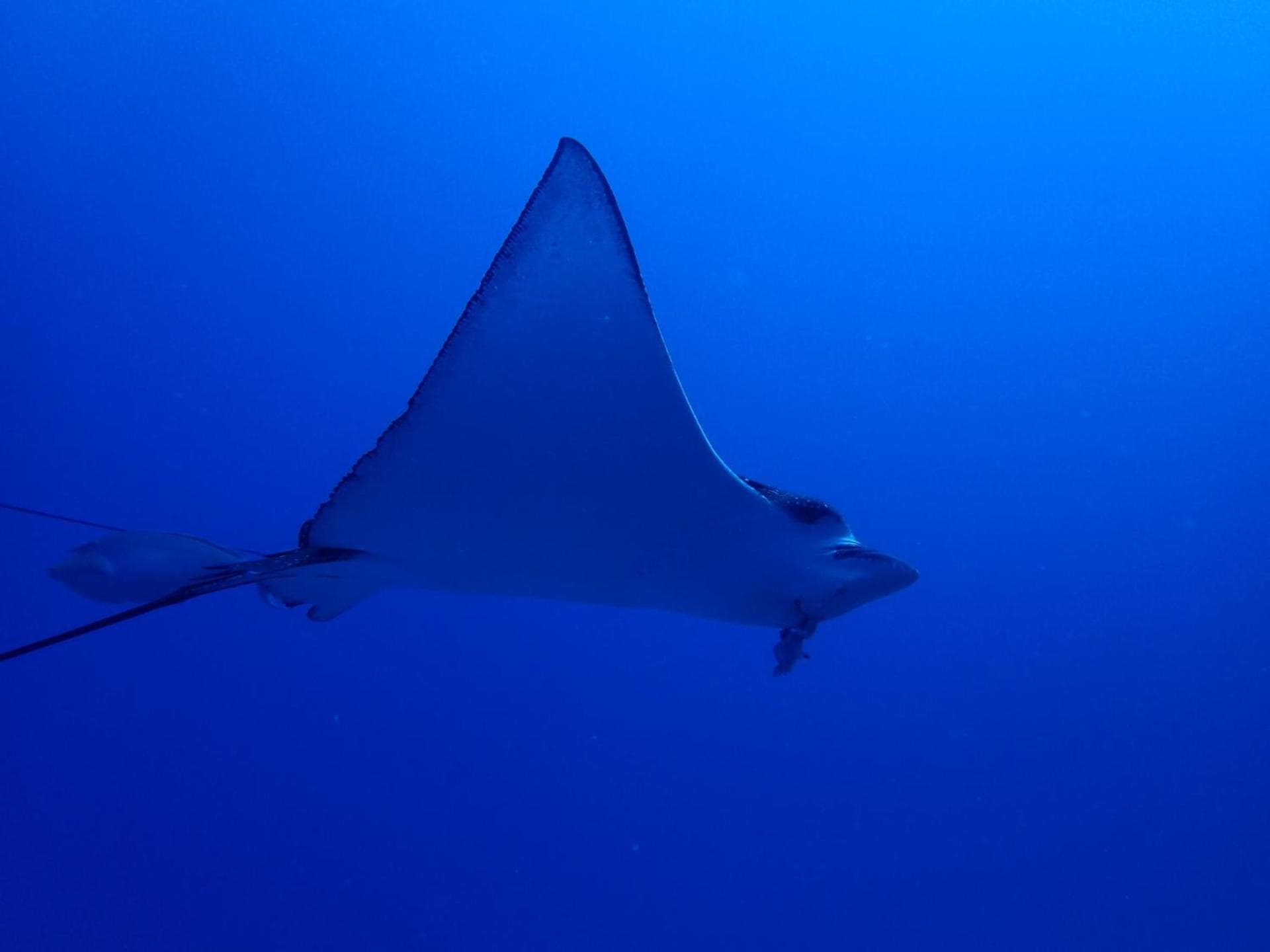 The Sunrise Huraa - View 85