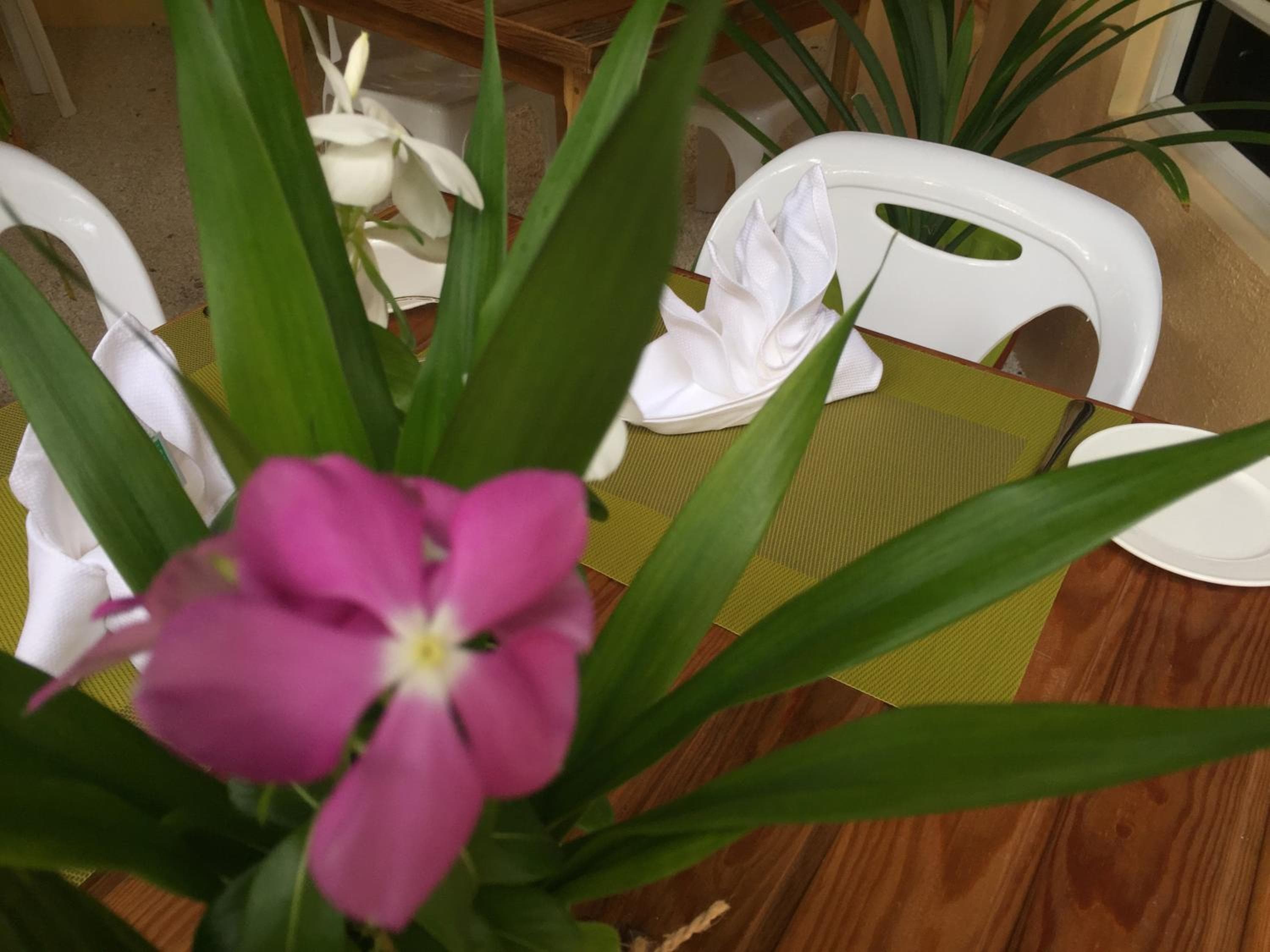 The Sunrise Huraa - View 92