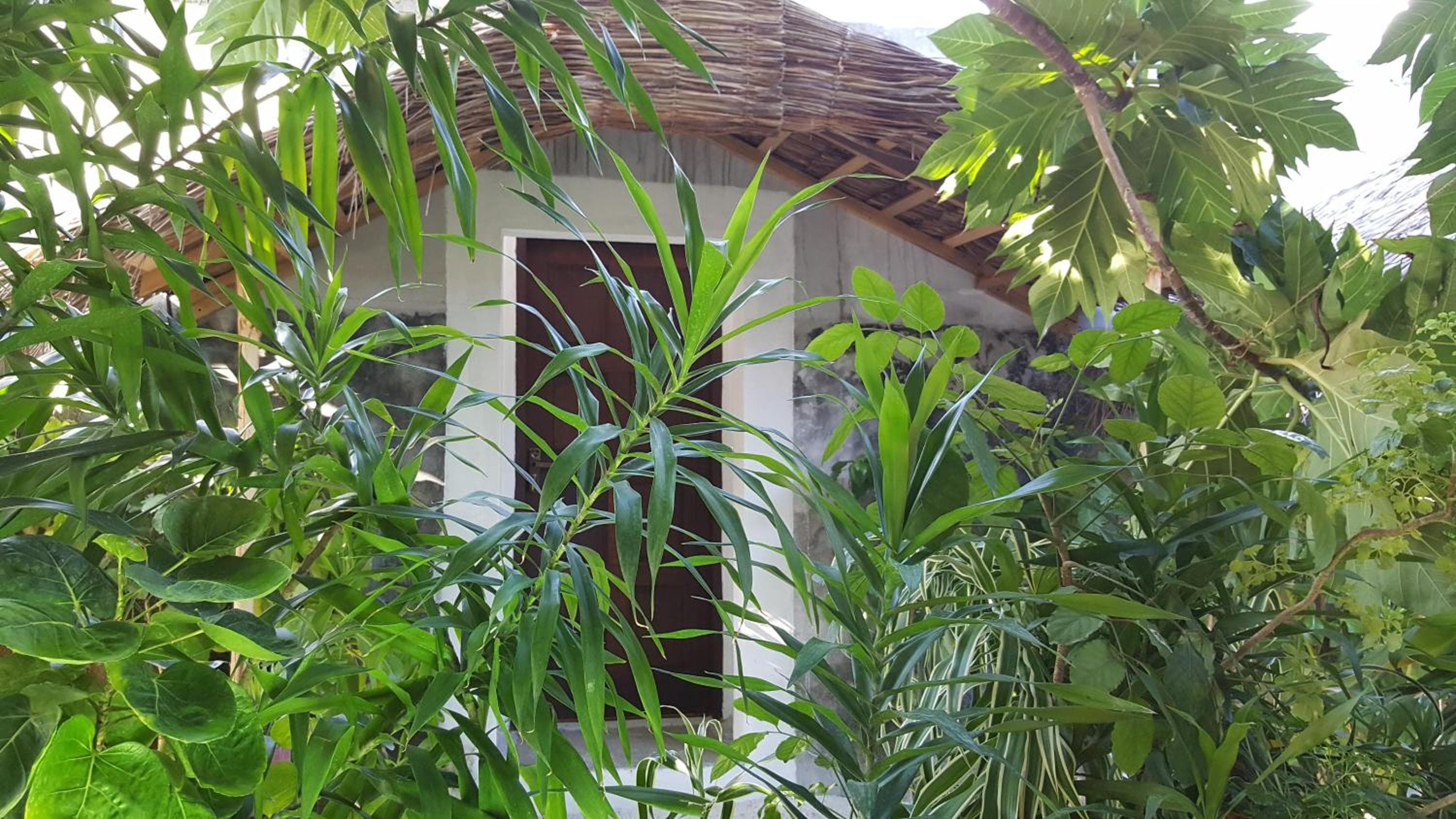 Maafushi View - View 13