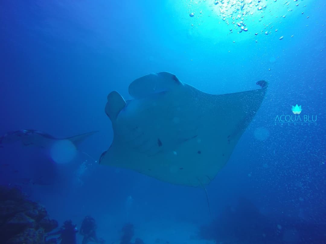 Acqua Blu Rasdhoo - View 9