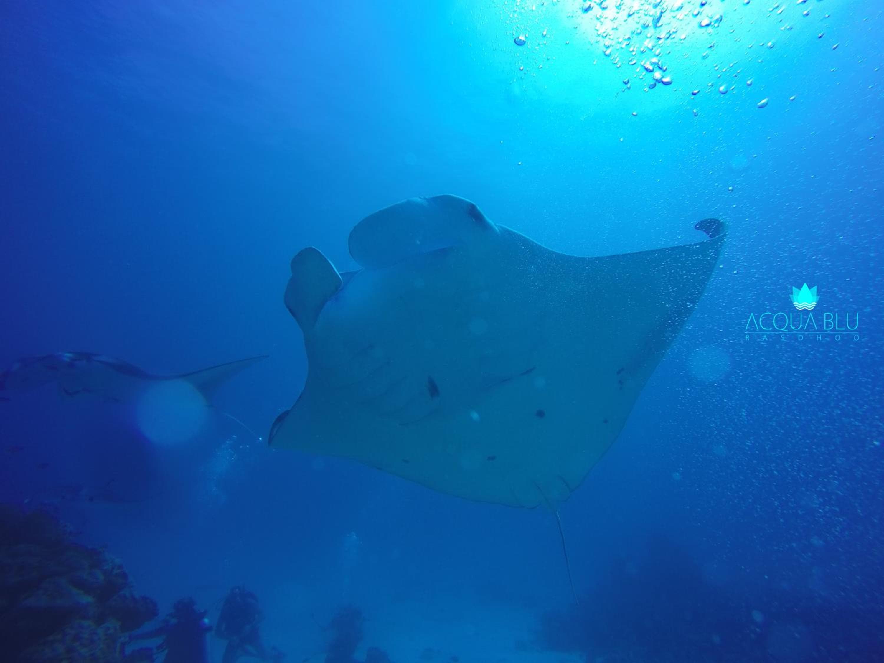 Acqua Blu Rasdhoo - View 93