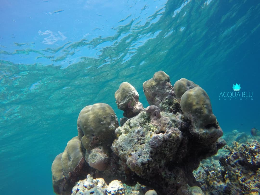 Acqua Blu Rasdhoo - View 106