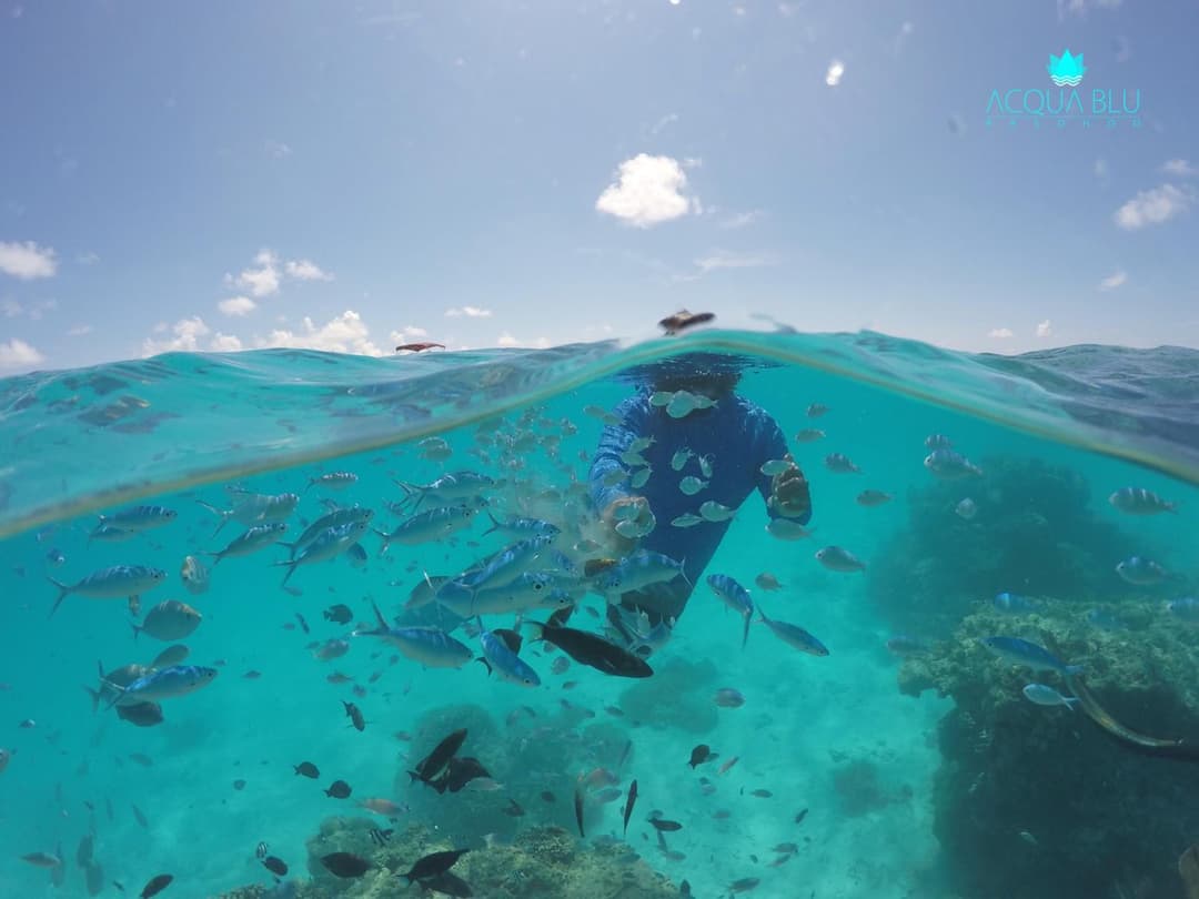 Acqua Blu Rasdhoo - View 82