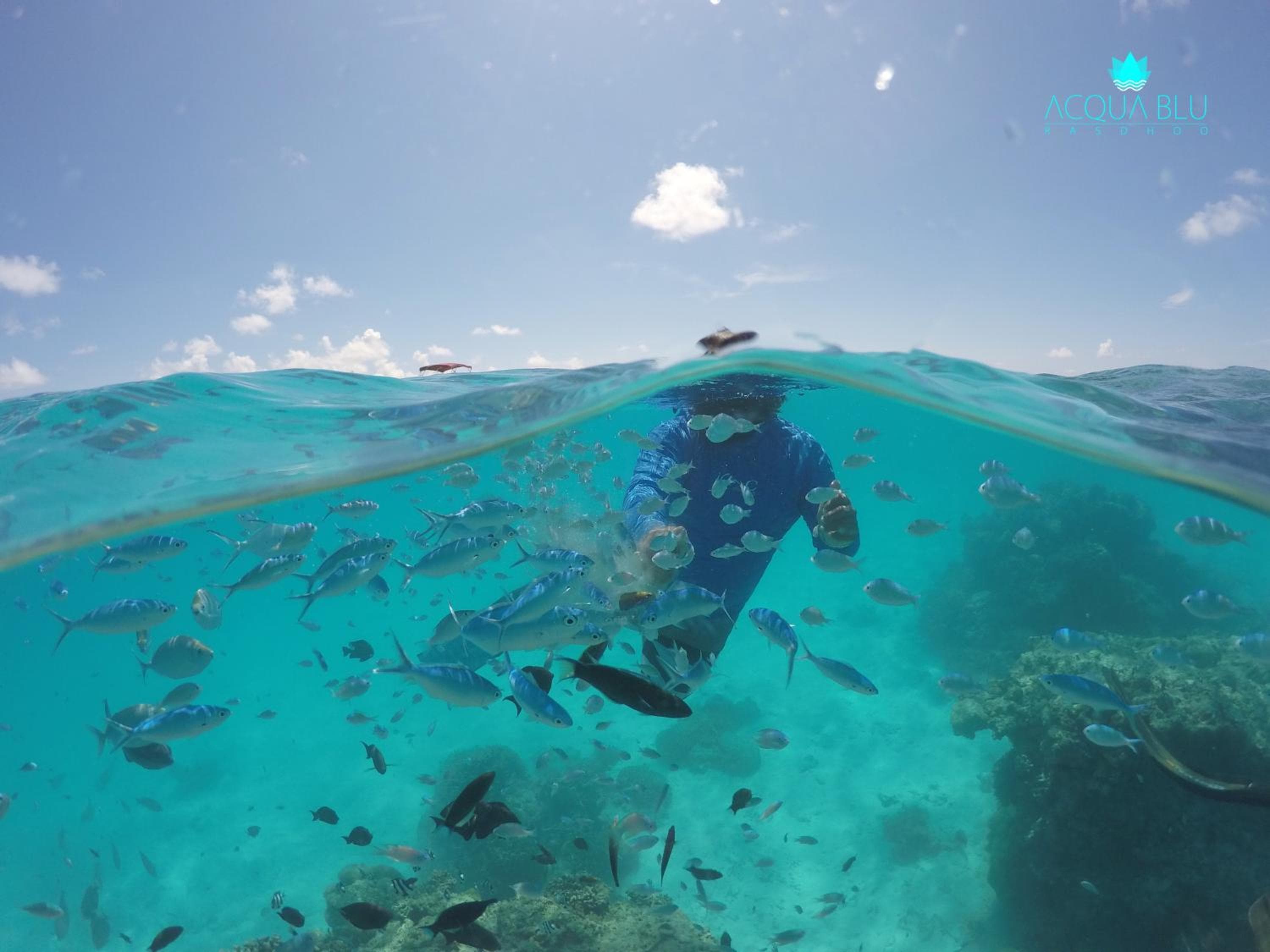 Acqua Blu Rasdhoo - View 44