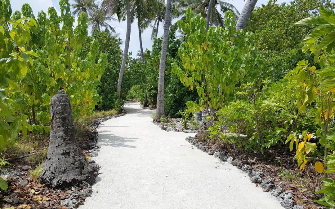Kaafu Inn Guraidhoo - View 32