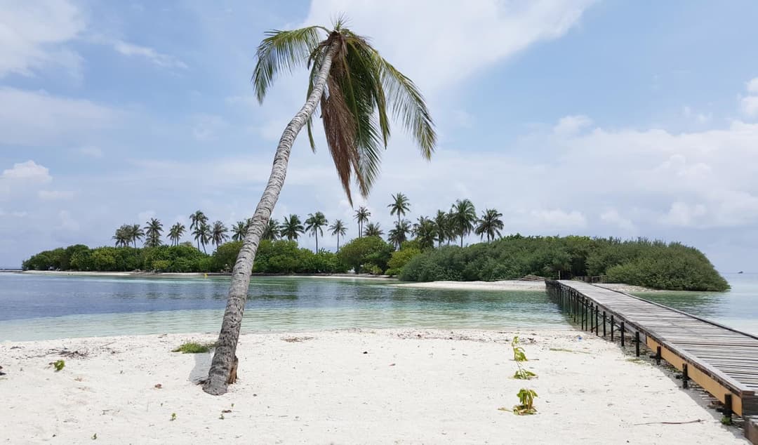 Kaafu Inn Guraidhoo - View 43
