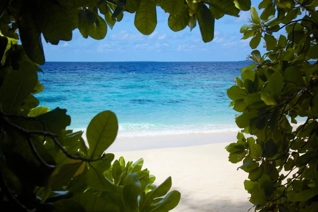 Dusit Thani Maldives - 50 percent off on Transfers for Stays of 5 Nights stay until 20 December 2026 - View 51