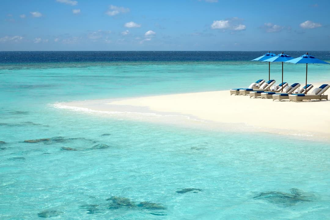 Dusit Thani Maldives - 50 percent off on Transfers for Stays of 5 Nights stay until 20 December 2026 - View 2