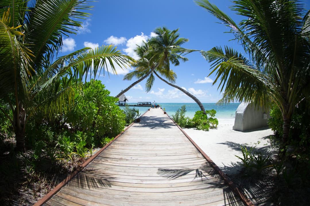Canareef Resort Maldives - View 161