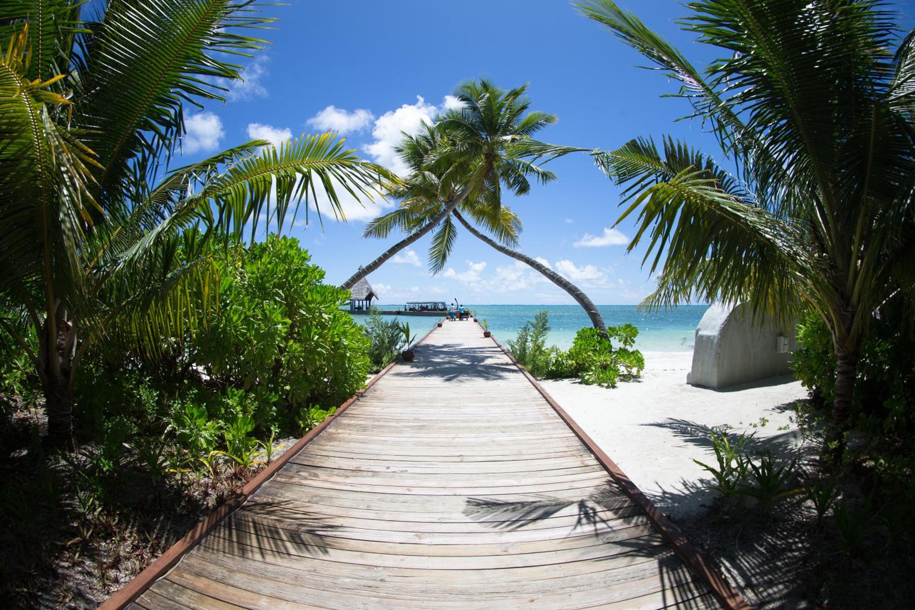 Canareef Resort Maldives - View 179