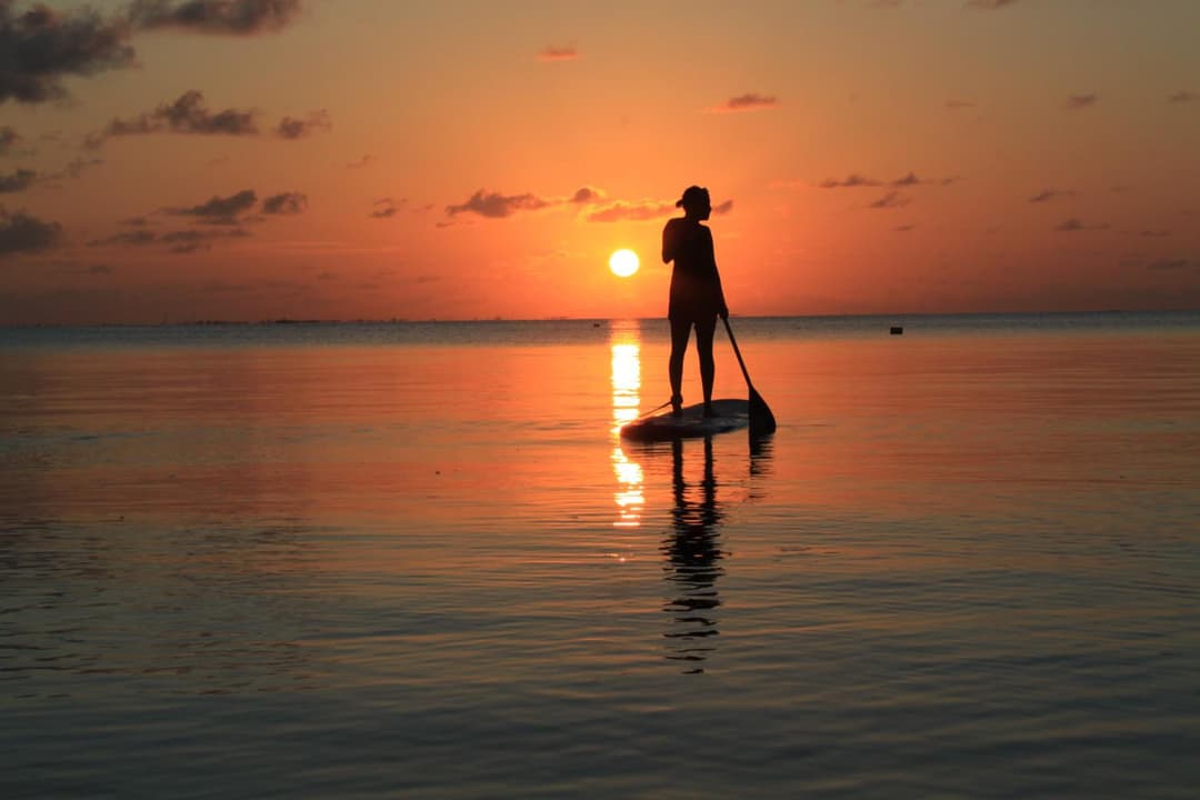 Canareef Resort Maldives - View 117