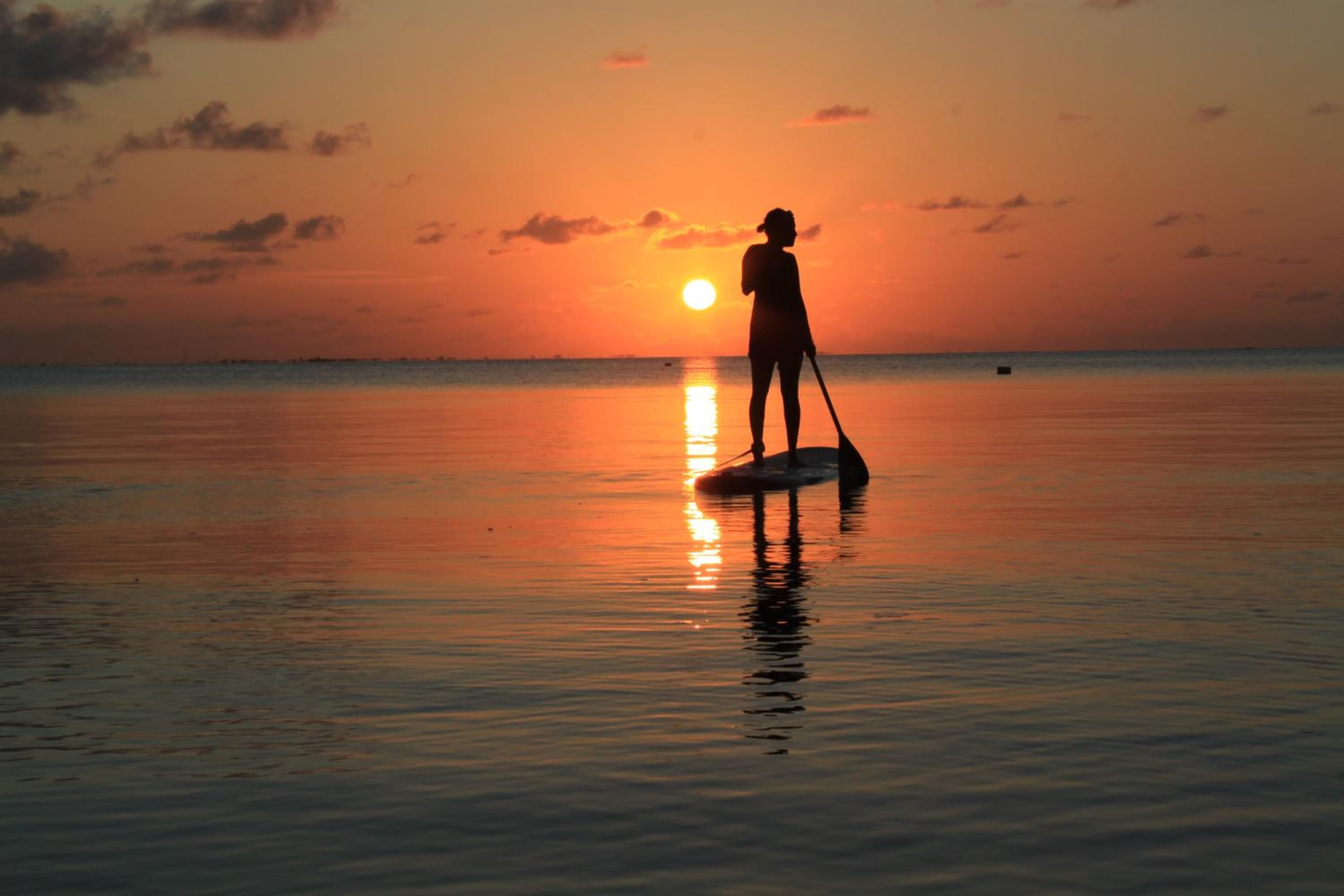 Canareef Resort Maldives - View 26