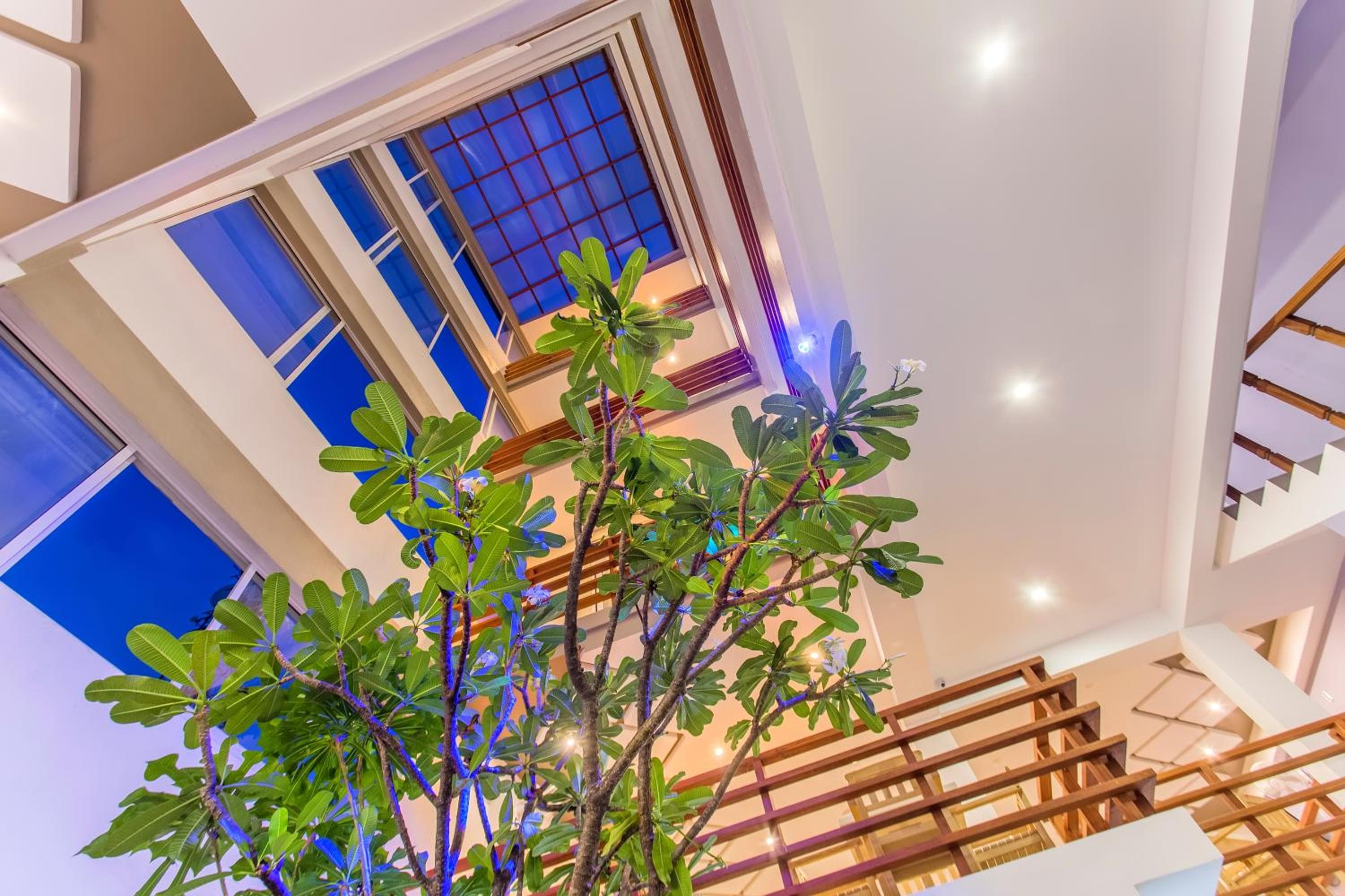 Kuredhi Beach Inn - View 17