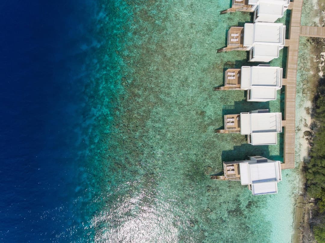 Niva Dhigali Maldives - A Premium All-Inclusive Resort - View 120