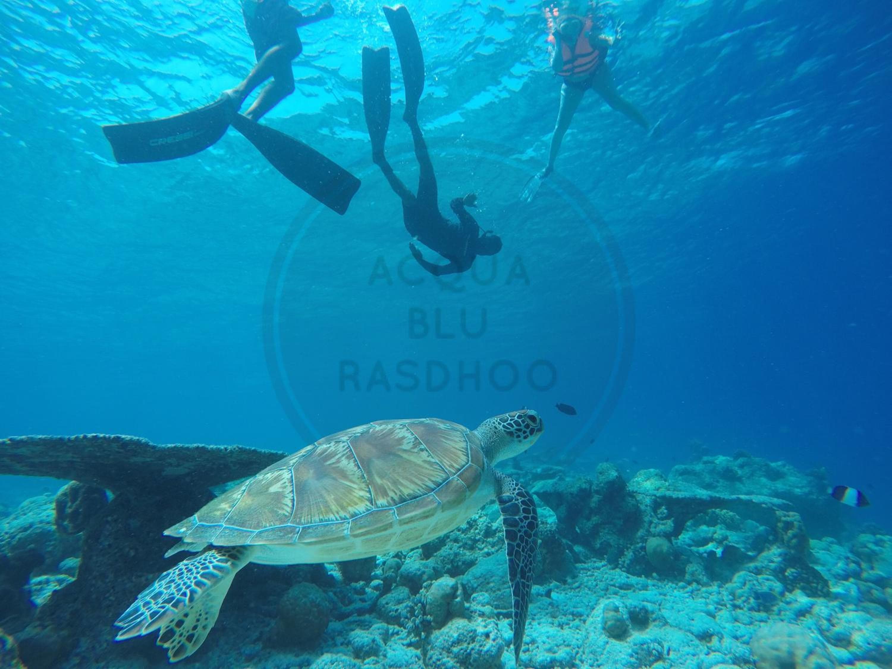 Acqua Blu Rasdhoo - View 80