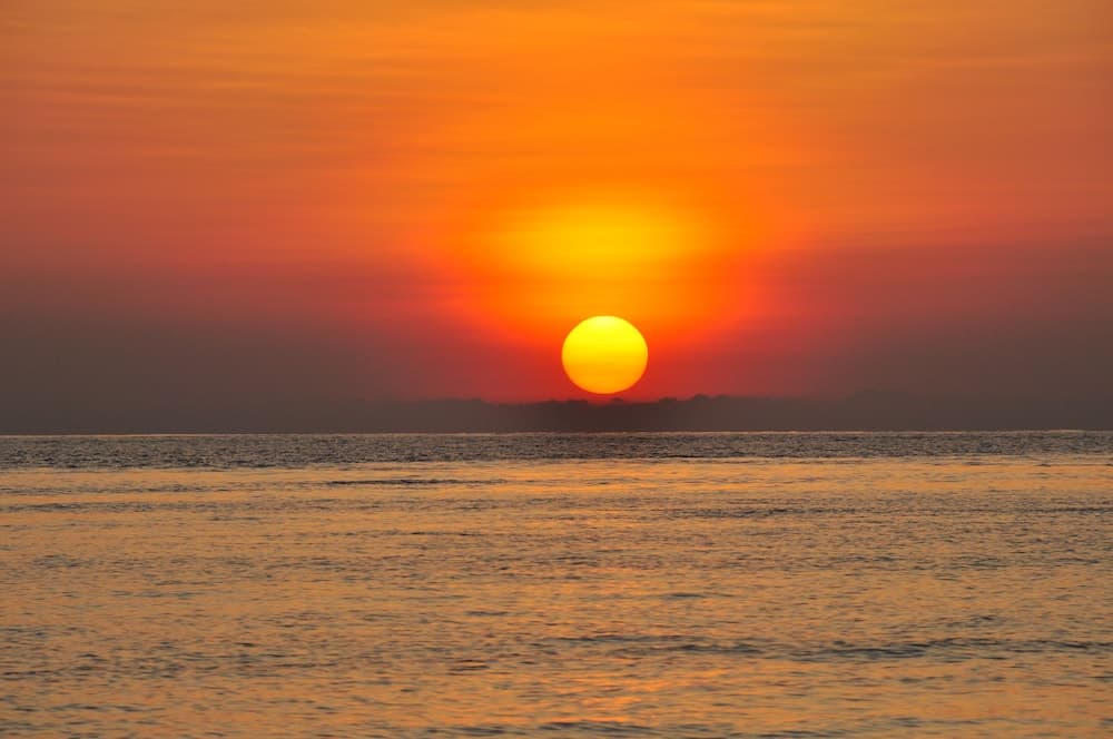 LVIS blancura - View 55